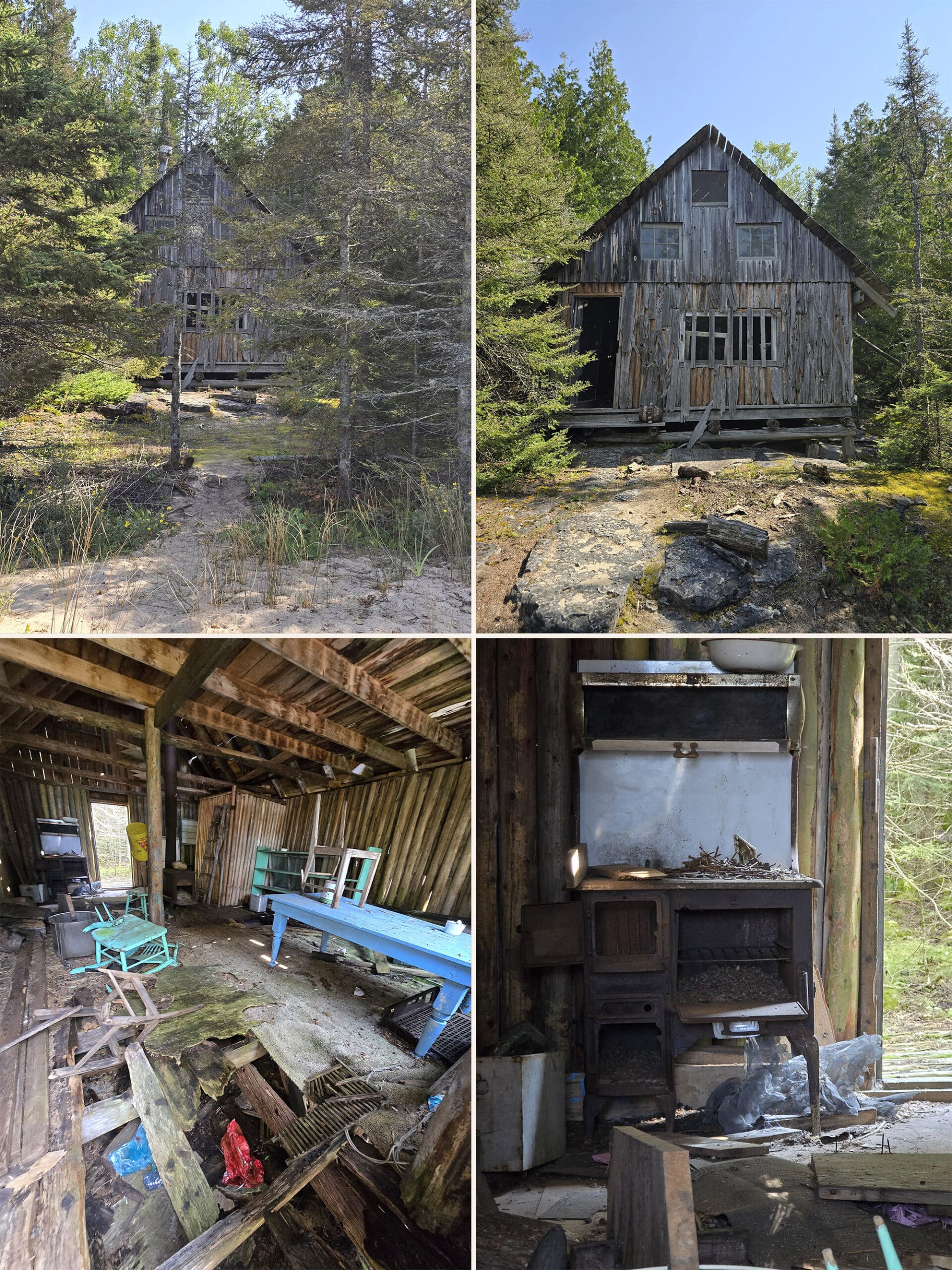 4 part image showing various views along the Coastal Alvar Trail at Misery Bay Provincial Park.