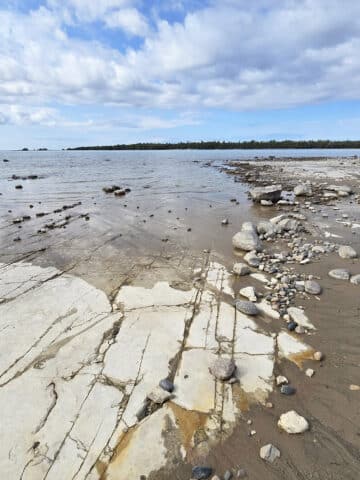 A coastal alvar rock beach extending onto misery bay.