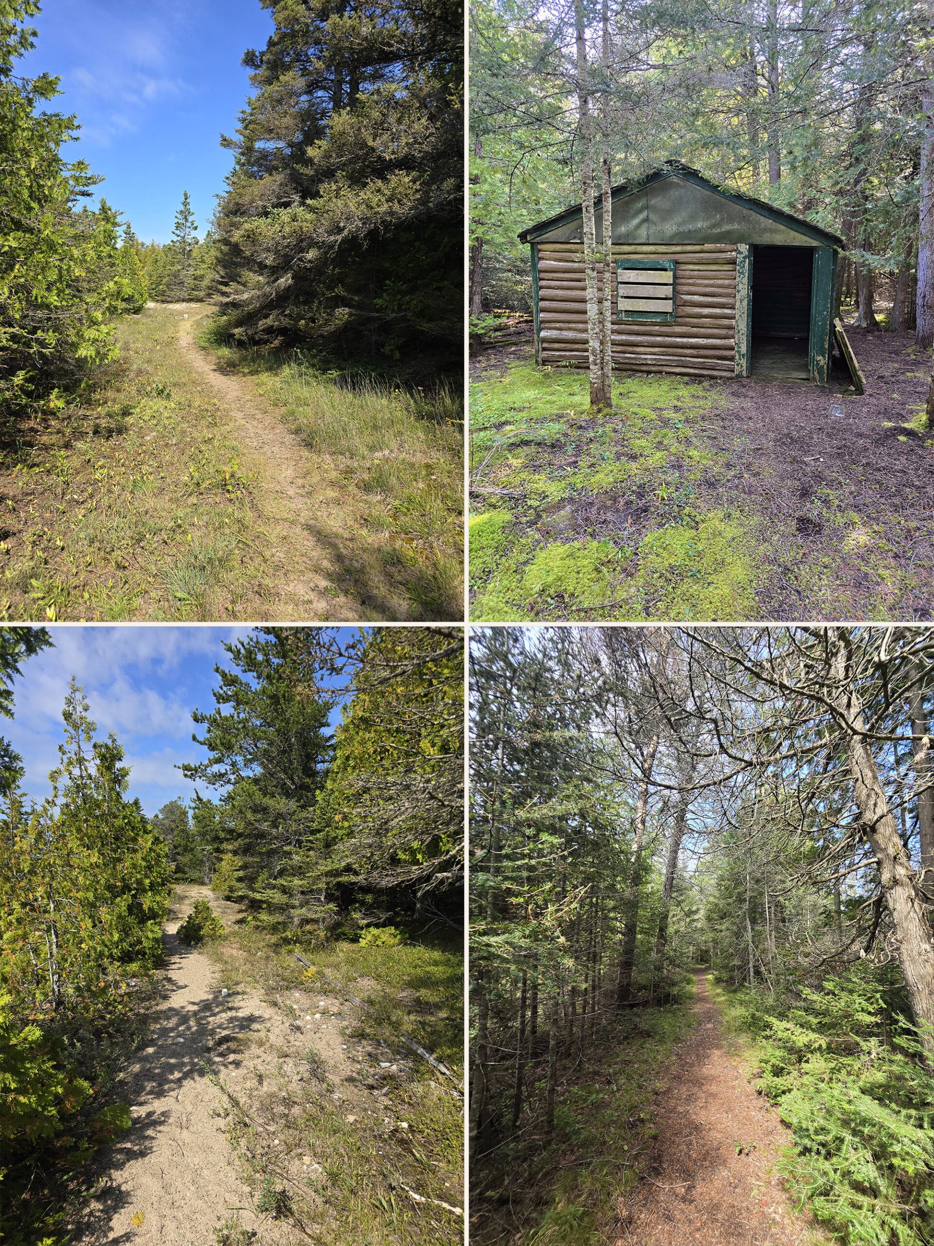 4 part image showing various views along the Inland Alvar Trail at Misery Bay Provincial Park.
