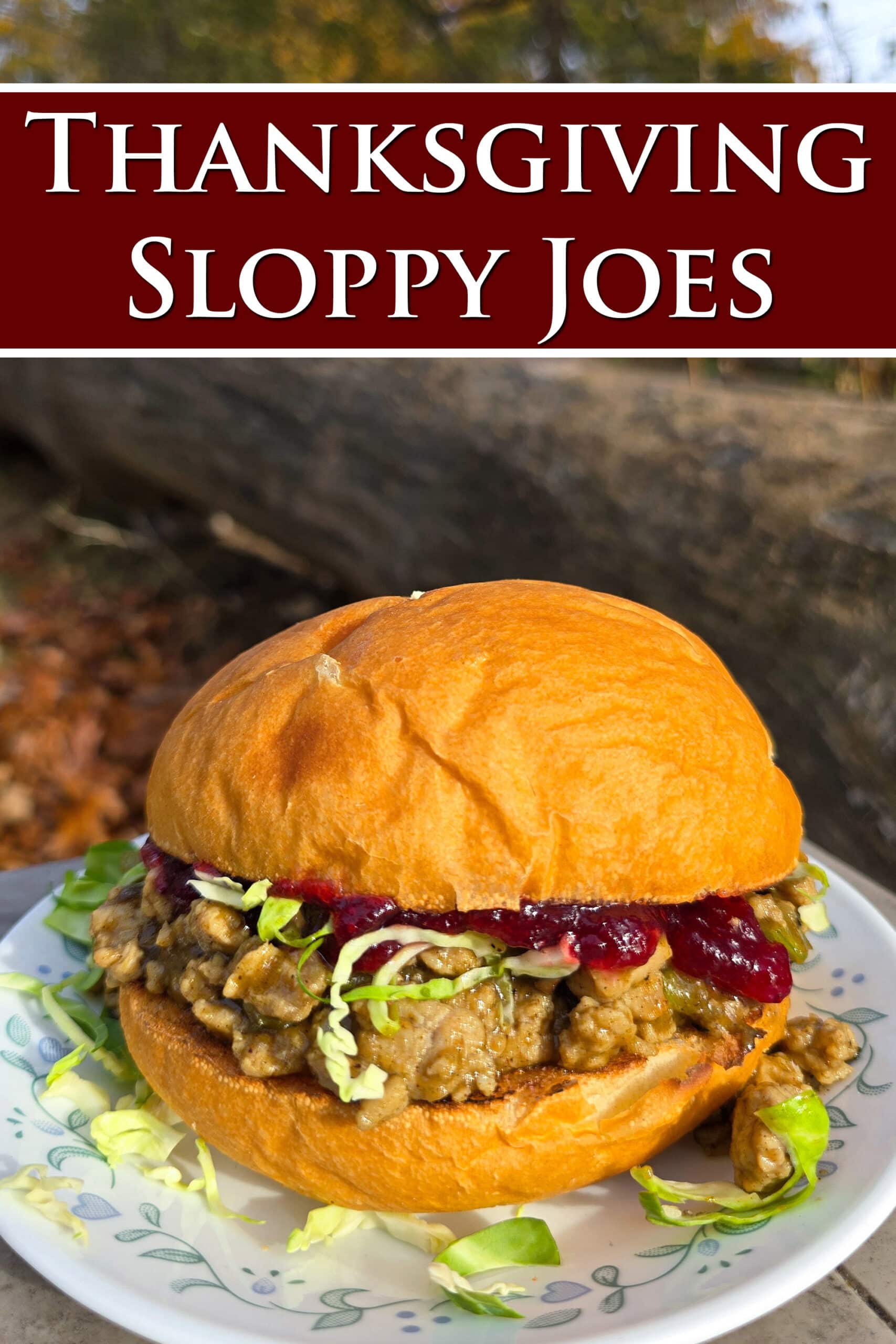 A Thanksgiving Sloppy Joe Sandwich with ground turkey, veggies, gravy, cranberry sauce, and shredded Brussels Sprouts. Overlaid text says Thanksgiving Sloppy Joes.