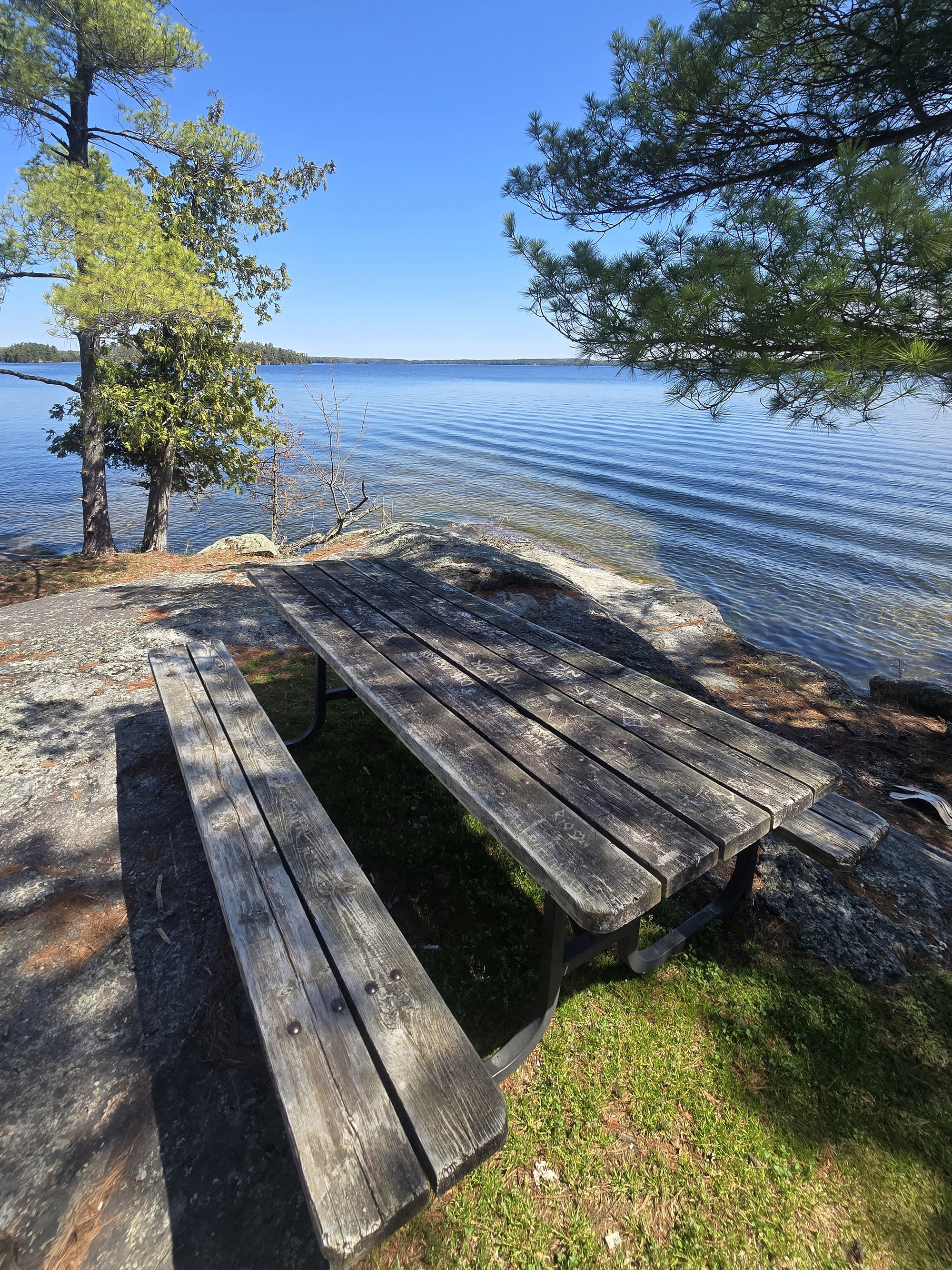 A picnic table on the shore of Charleston Lake.