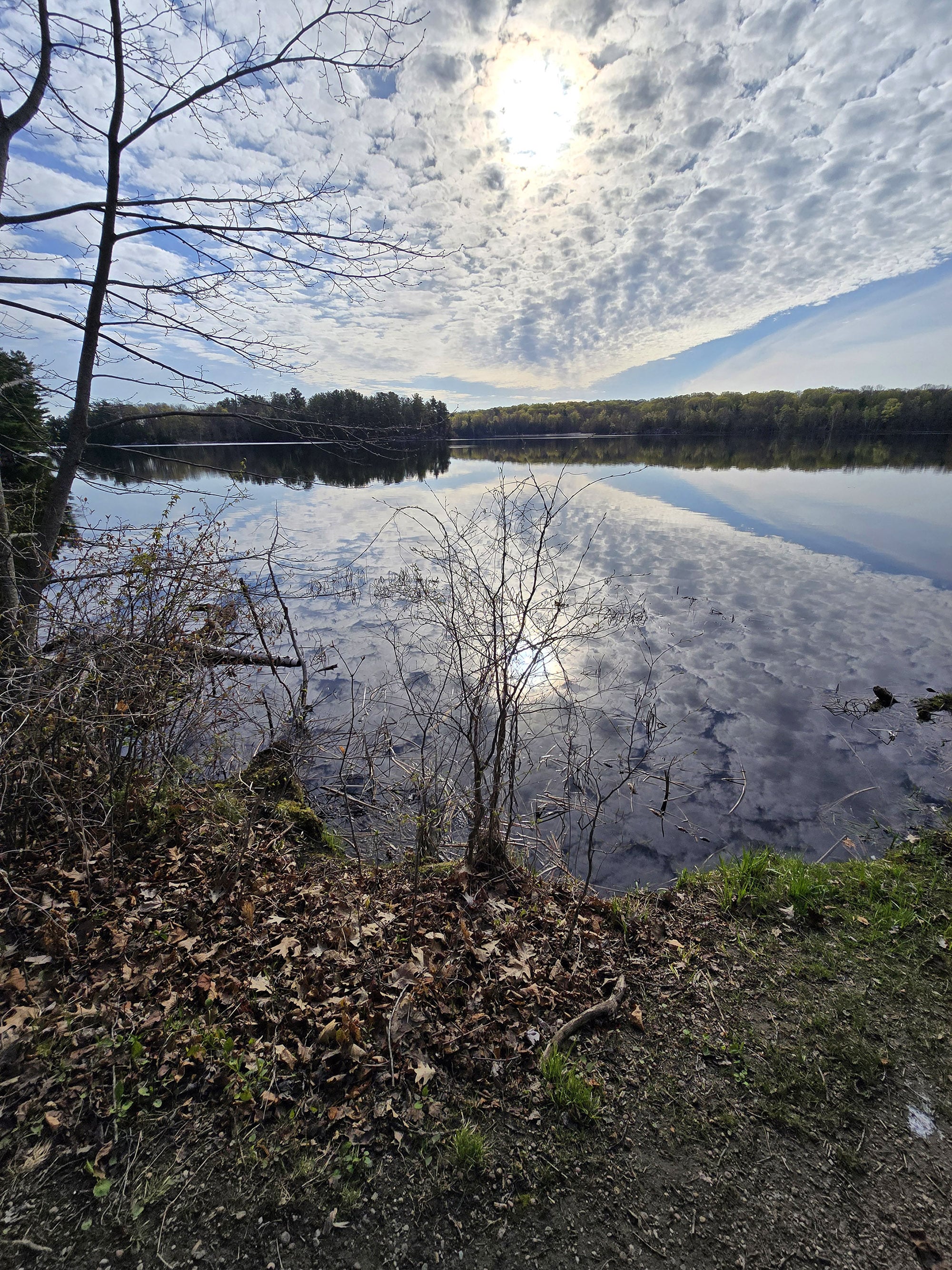 Charleston Lake, shortly after sunrise.