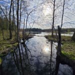 A view out over a stream and charleston lake, with the rising sun in the background.