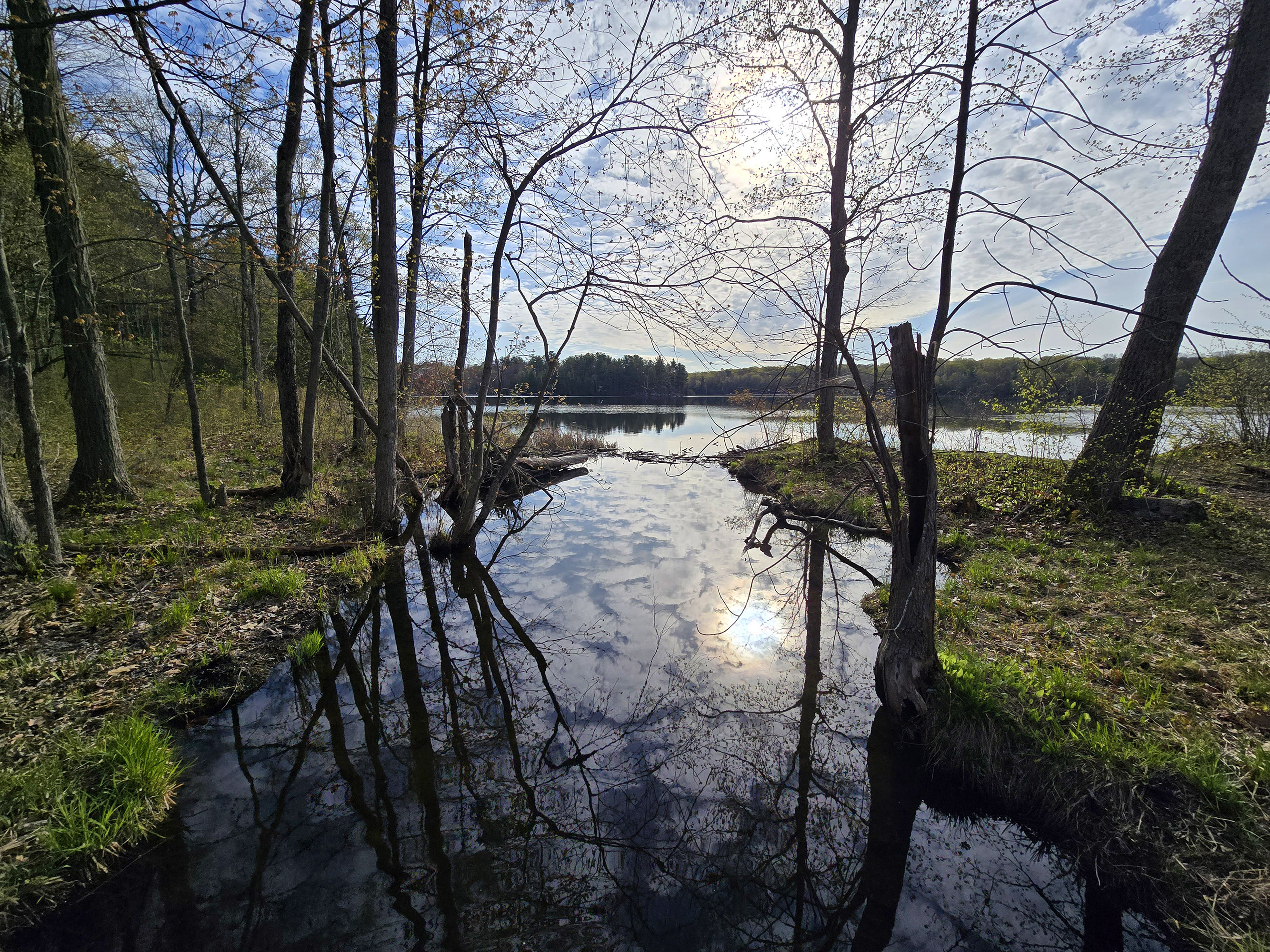 A view out over a stream and charleston lake, with the rising sun in the background.