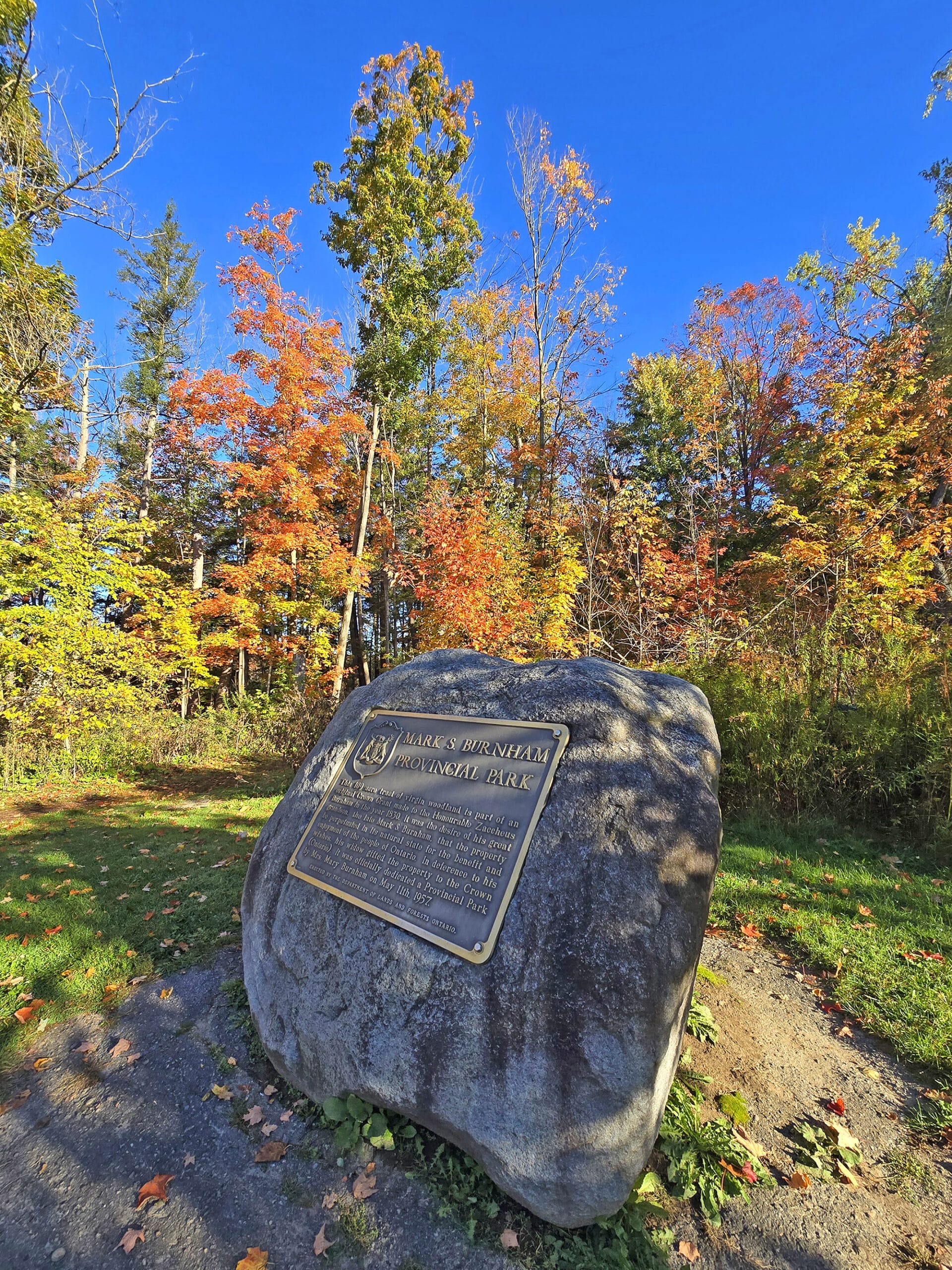 A memorial rock in front of fall trees at Mark S Burnham Provincial Park.