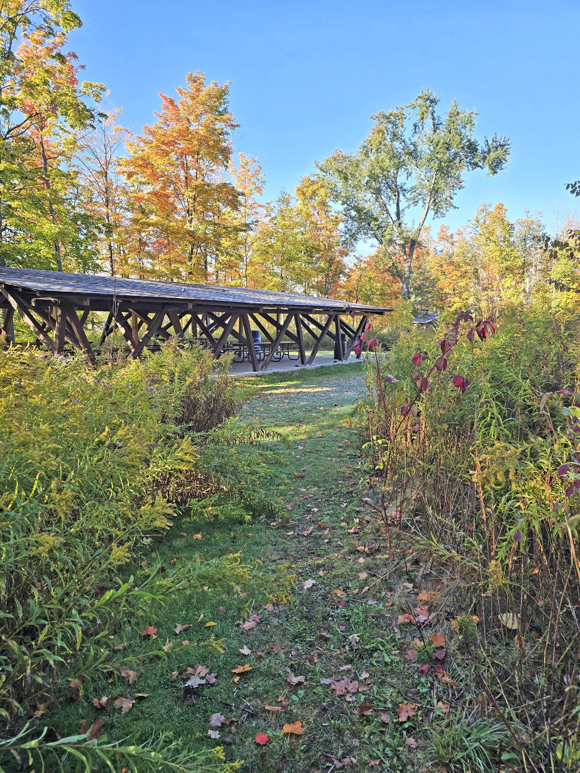 A a trail leading to a picnic shelter at Mark S Burnham Provincial Park.