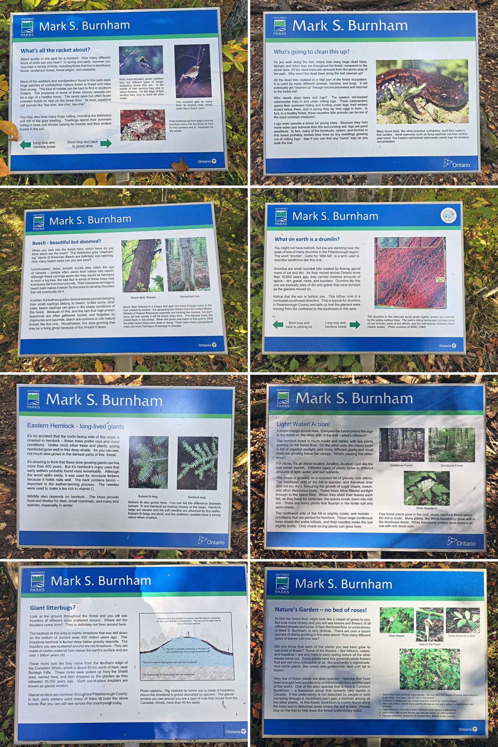 8 part image showing various educational signs at Mark S Burnham Provincial Park.