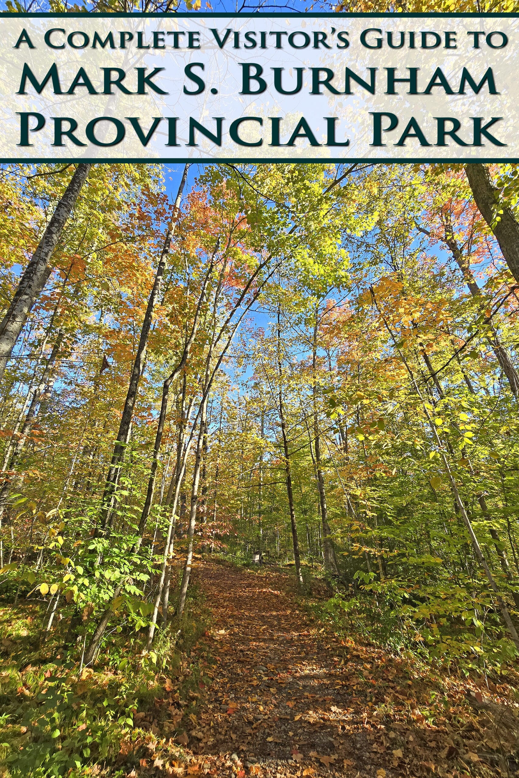 A trail through the woods in fall. Overlaid text says a complete visitors guide to Mark S Burnham Provincial Park.