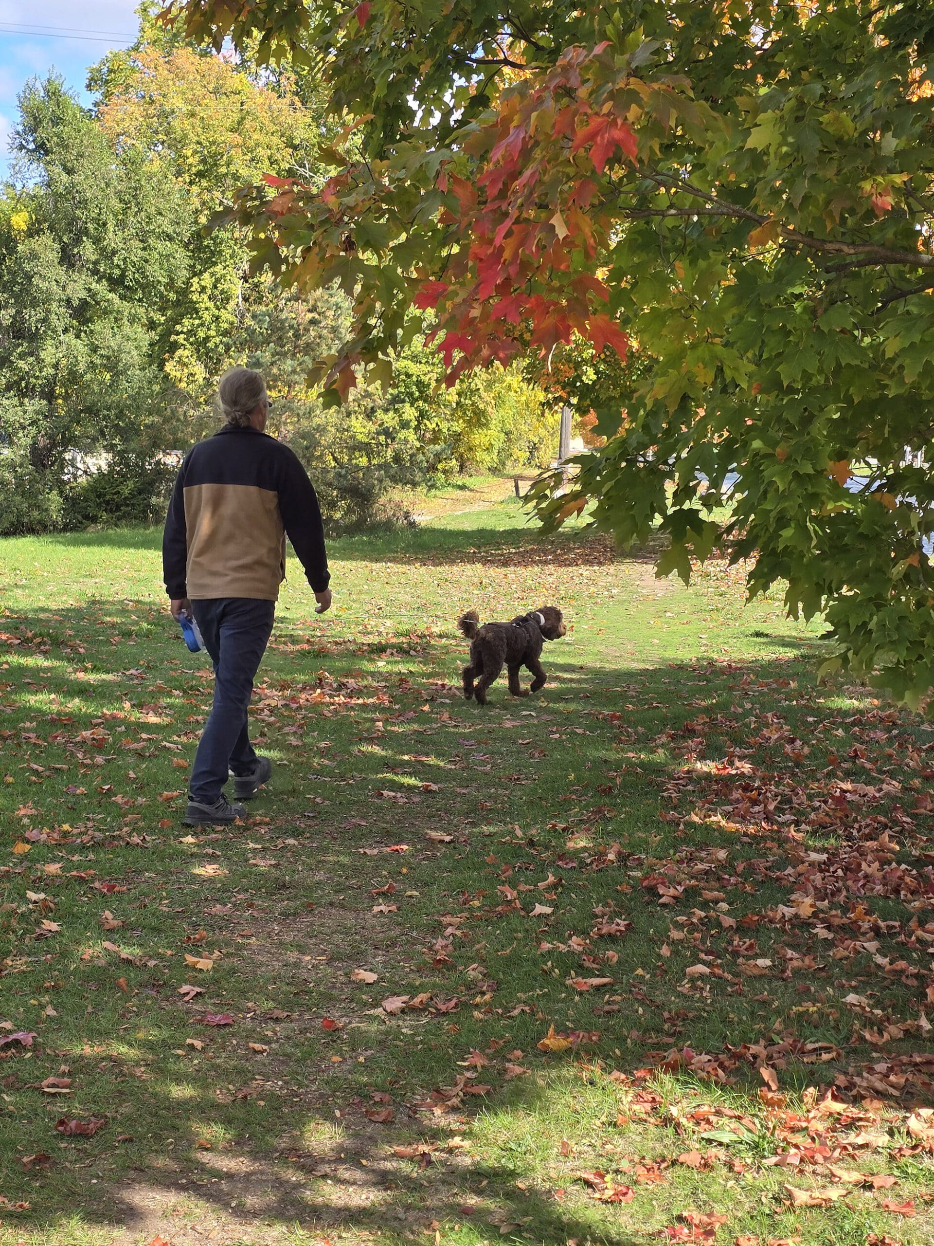 A man walking a dog on a trail near the peterborough lift lock.