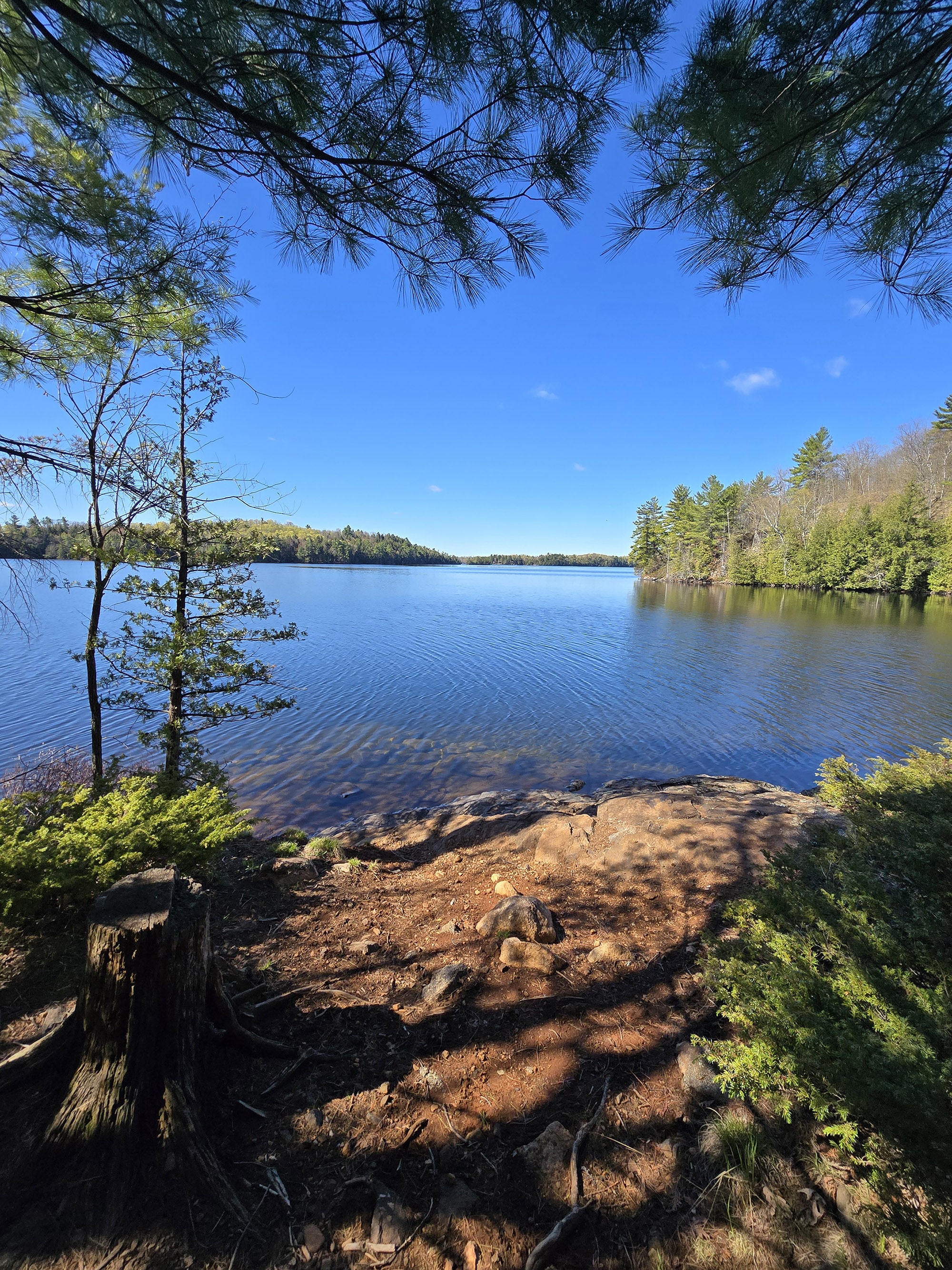 A view over Black Lake, from Sharbot Lake Provincial Park.