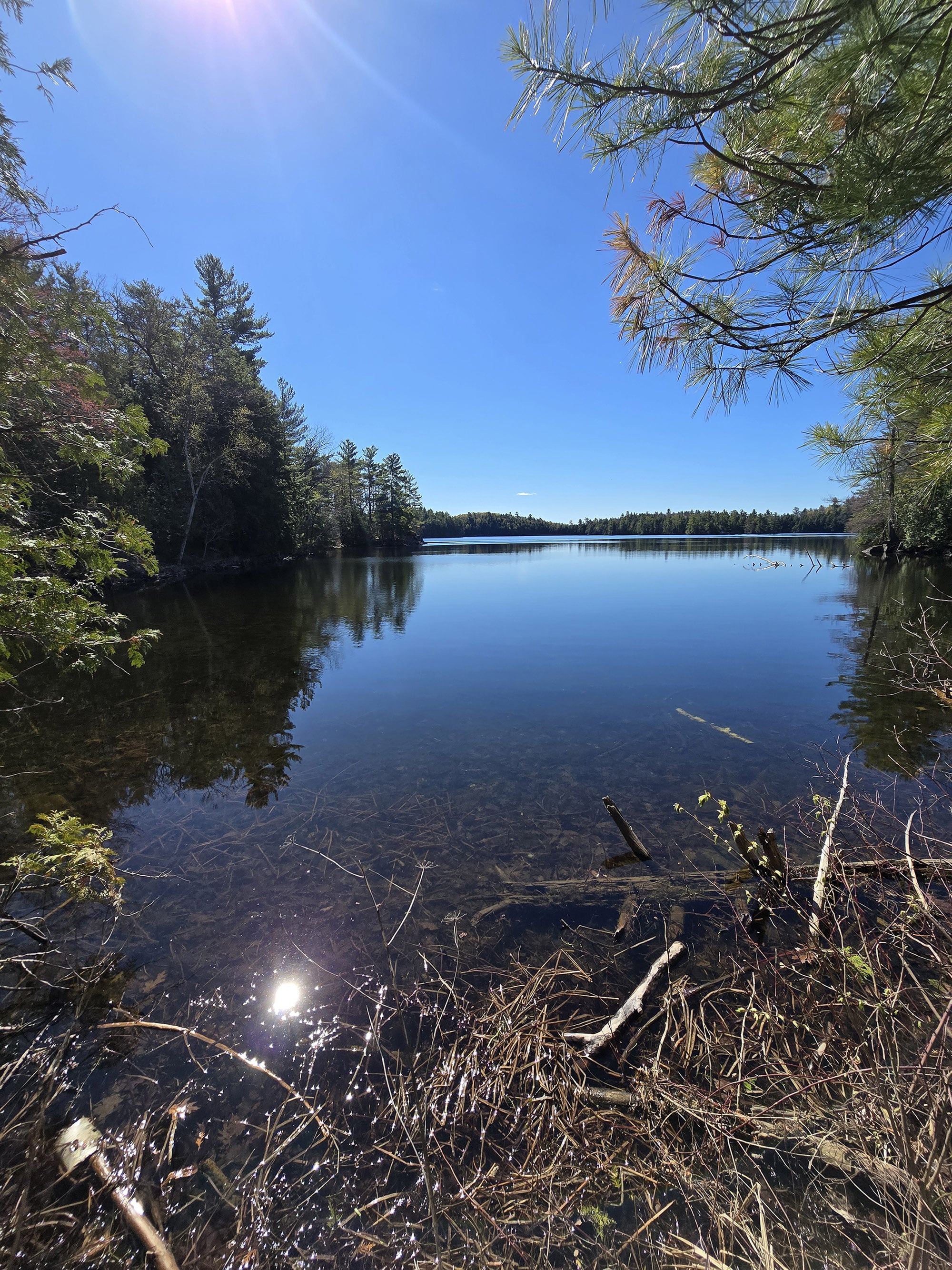 A view over Black Lake, from Sharbot Lake Provincial Park.