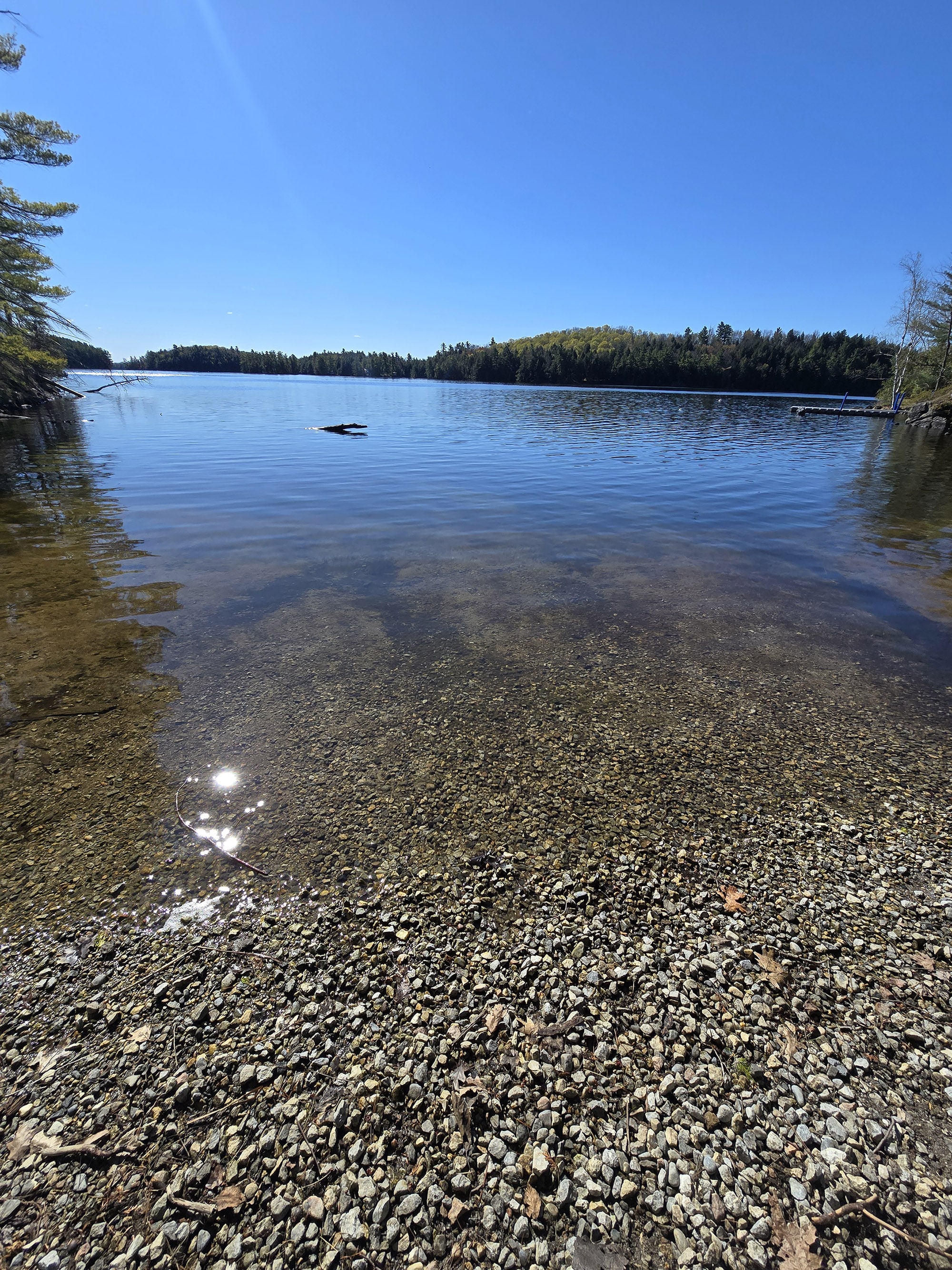 A view over Black Lake, from Sharbot Lake Provincial Park.