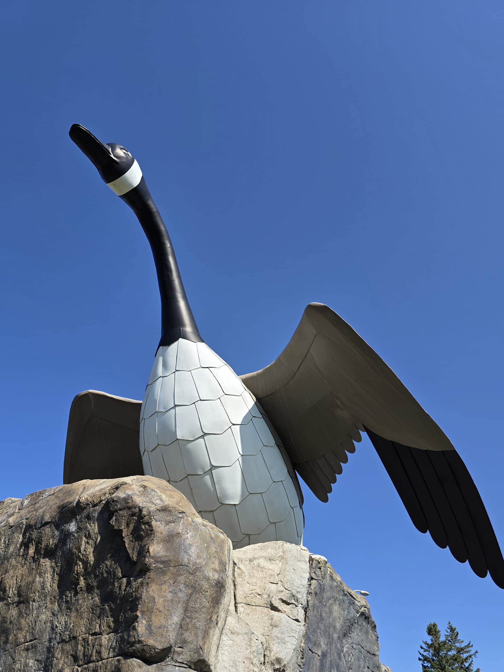The Wawa Goose Statue.
