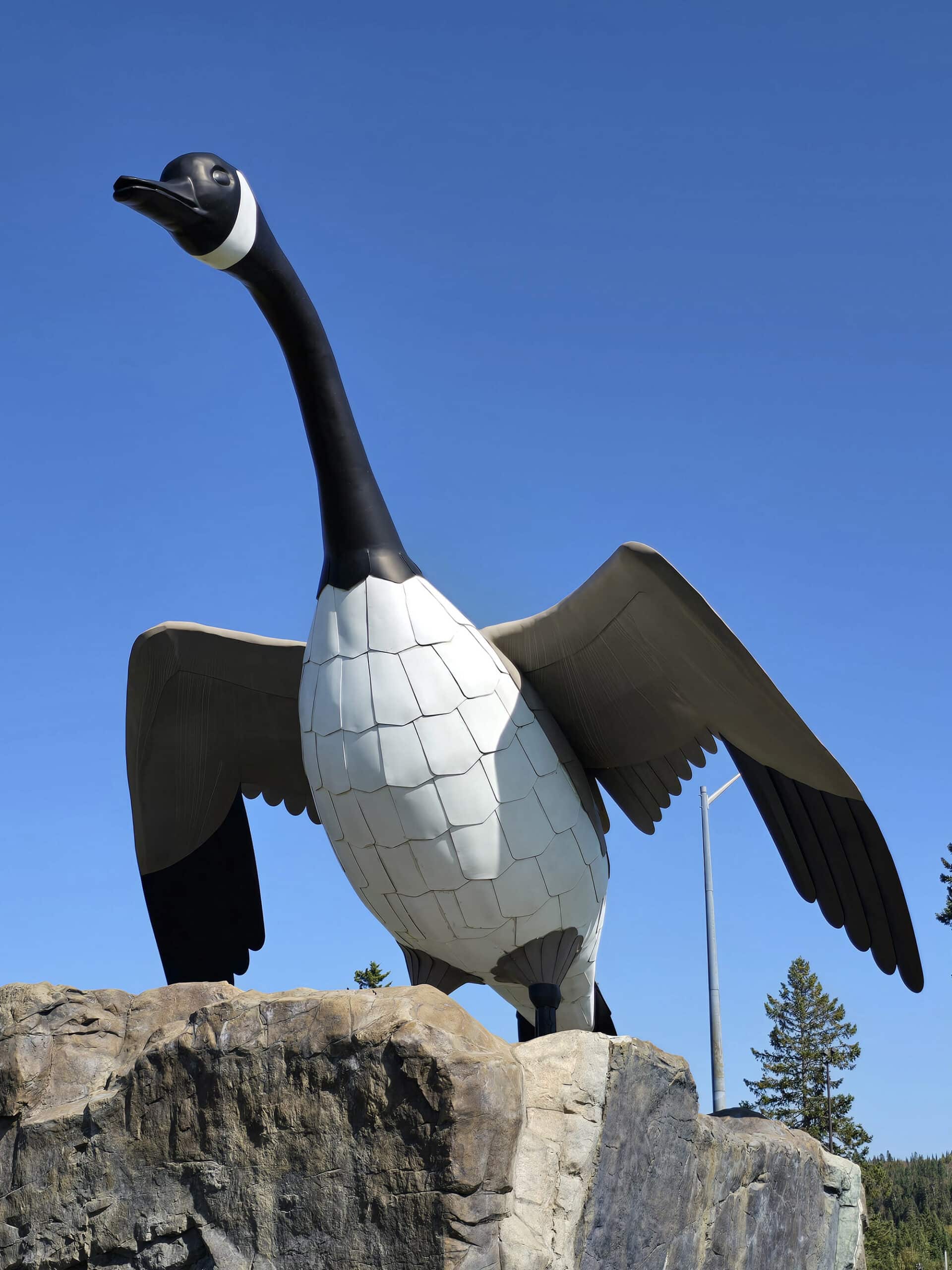 The Wawa Goose Statue.