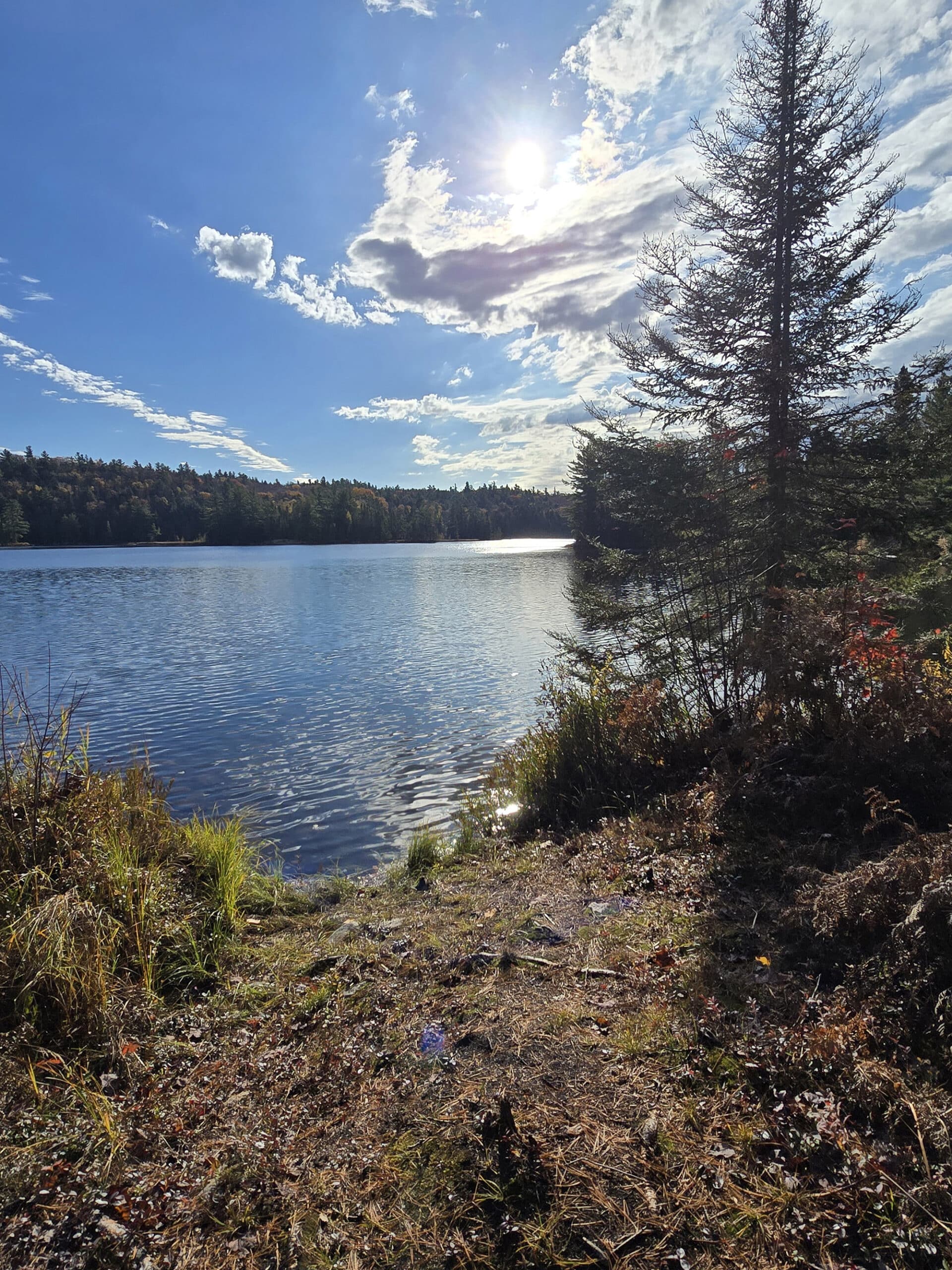 A rocky shoreline at Brent Campground in Algonquin Provincial Park.