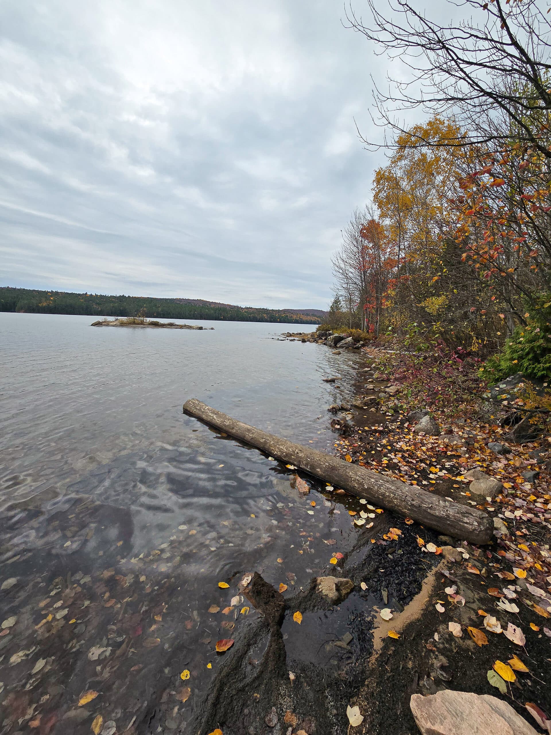 A rocky shoreline at Brent Campground in Algonquin Provincial Park.