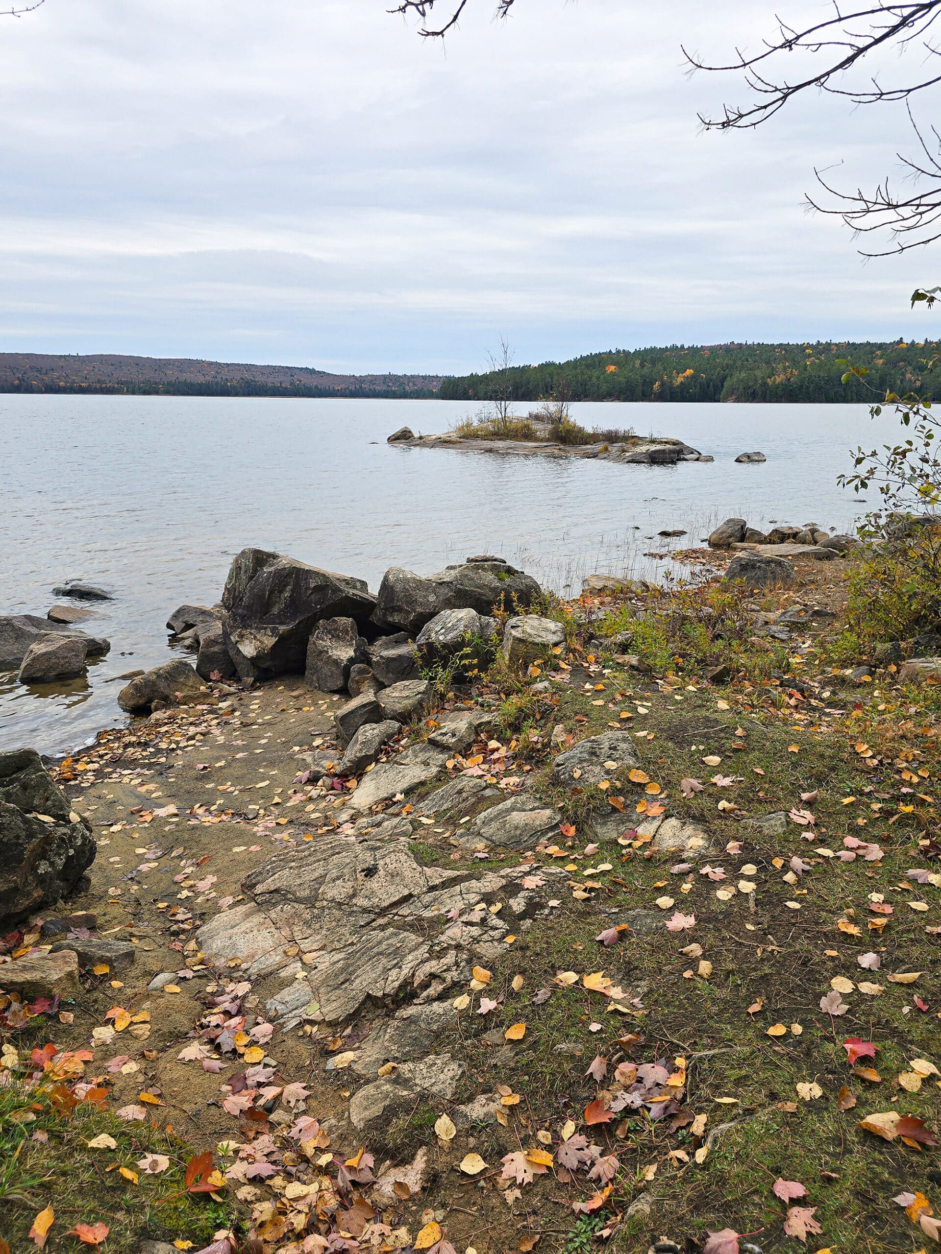 A rocky shoreline at Brent Campground in Algonquin Provincial Park.