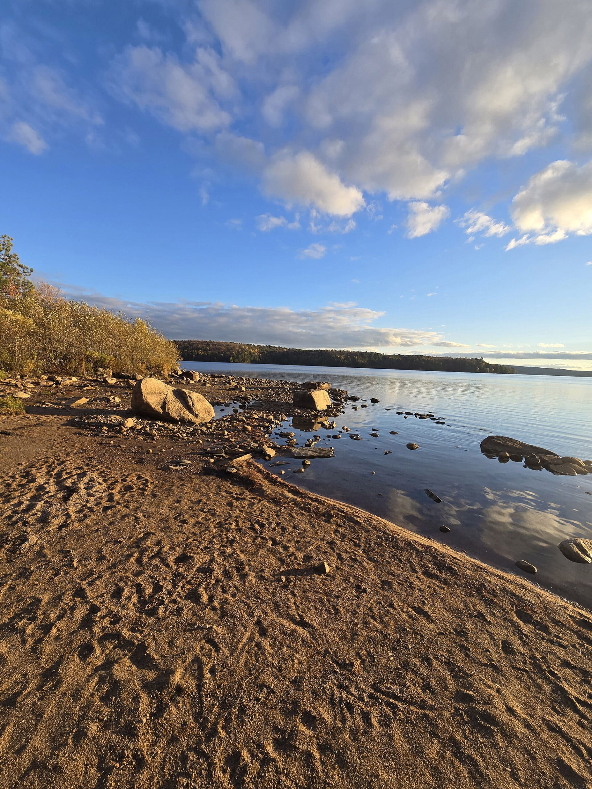 A beach on Kioshkokwi Lake, in Algonquin Provincial Park.