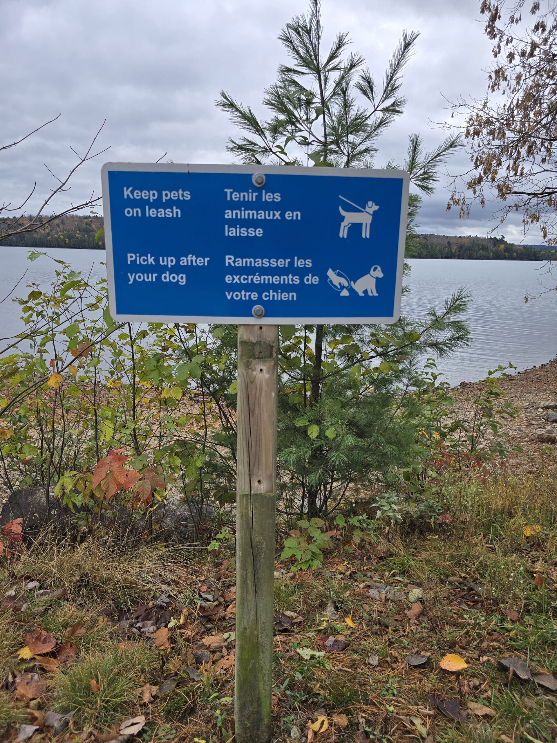 A sign telling people to keep their dogs leashed and pick up after them.