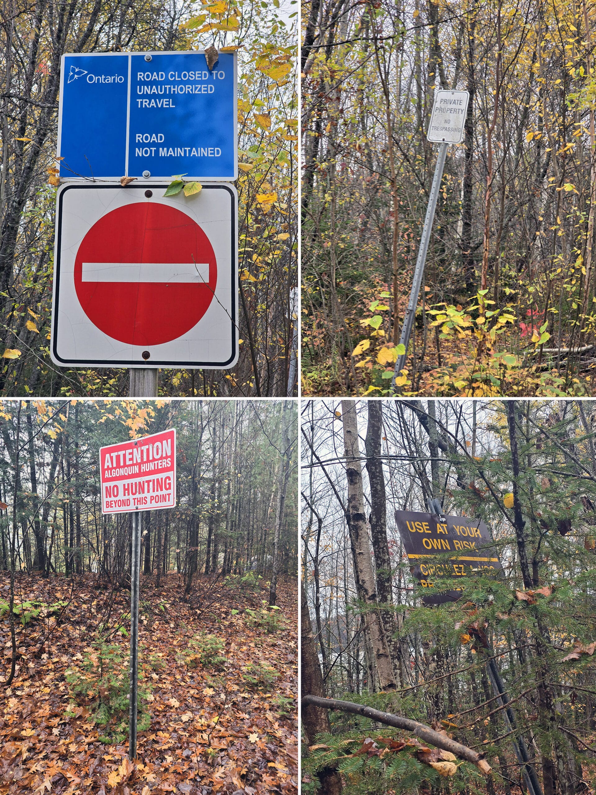 4 part image showing various signs in the Kiosk campground of Algonquin Provincial Park.