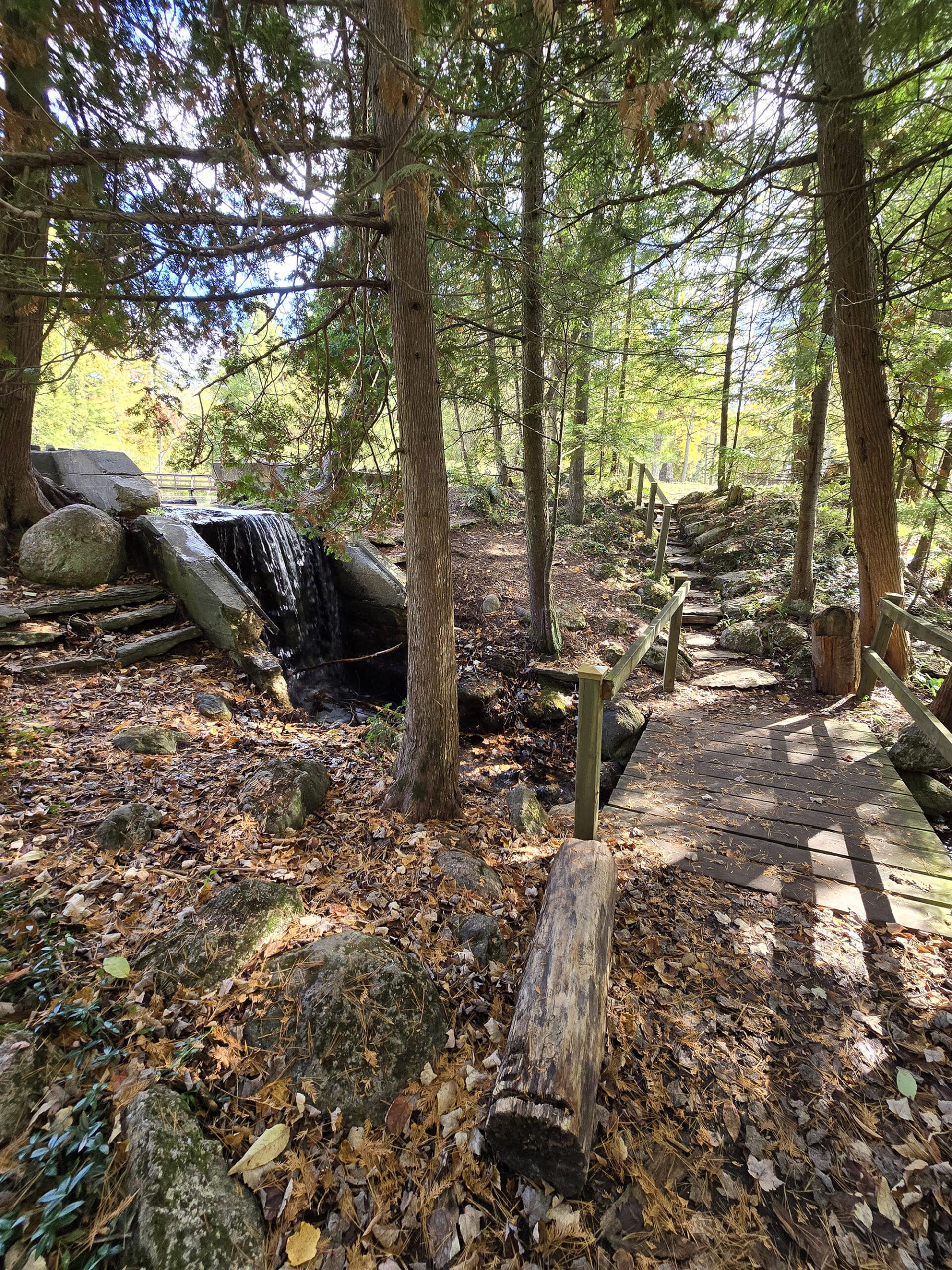 A boardwalk through the woods, passing by a small waterfall