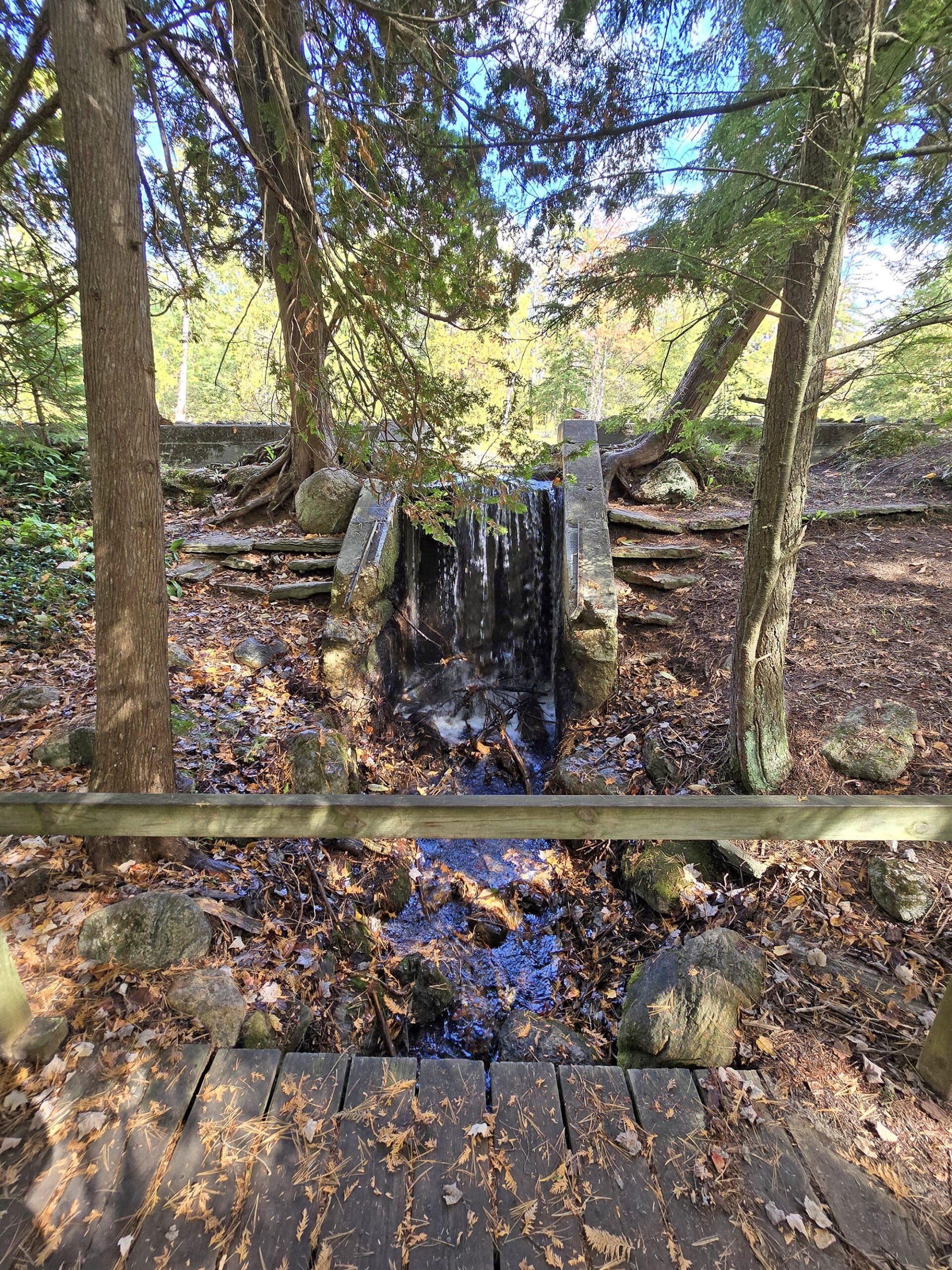 A small waterfall in the woods at Springwater Provincial Park.