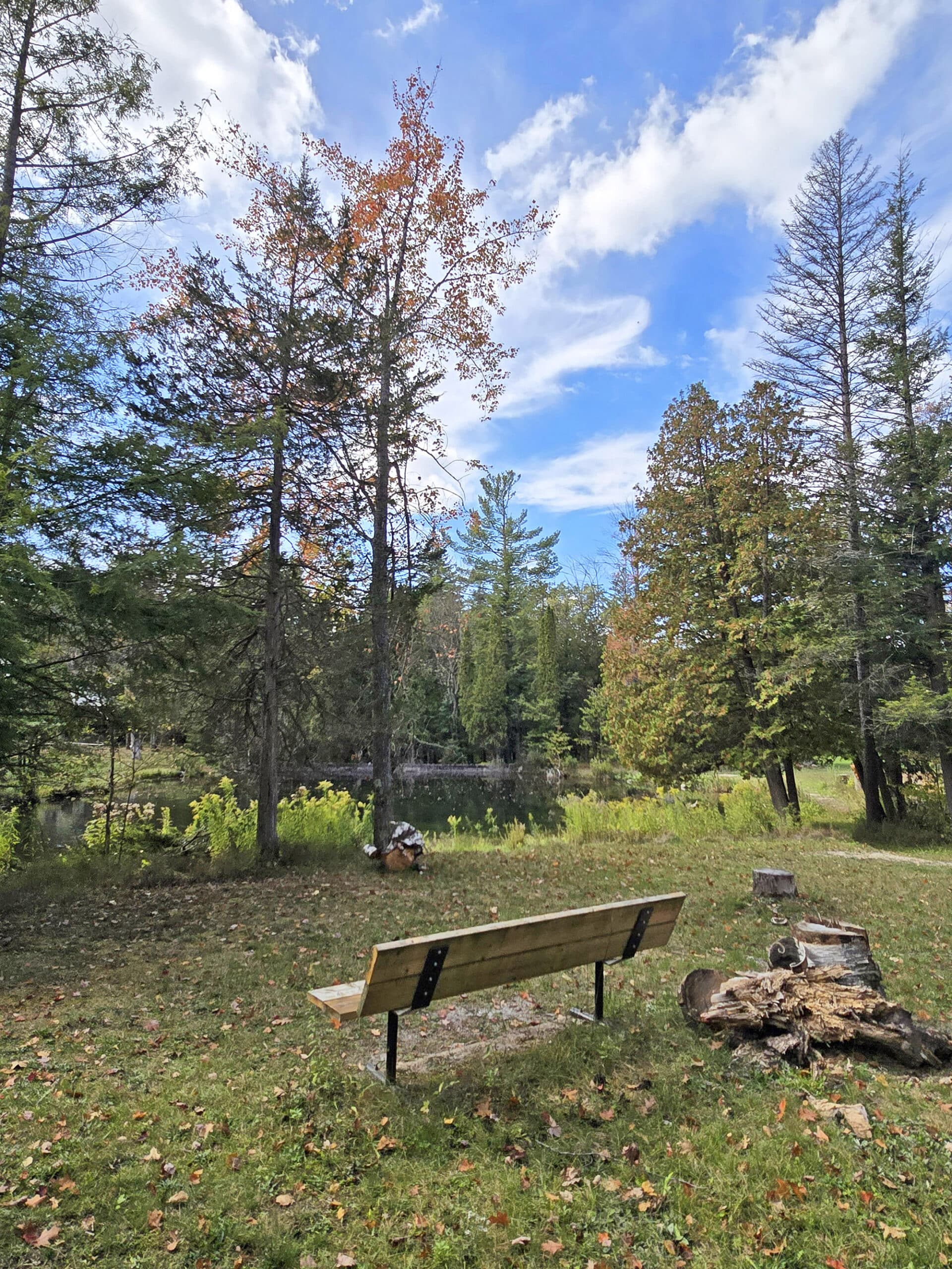 A park bench overlooking a pond at Springwater Provincial Park.