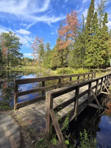 A footbridge over a pond at Springwater Provincial Park.