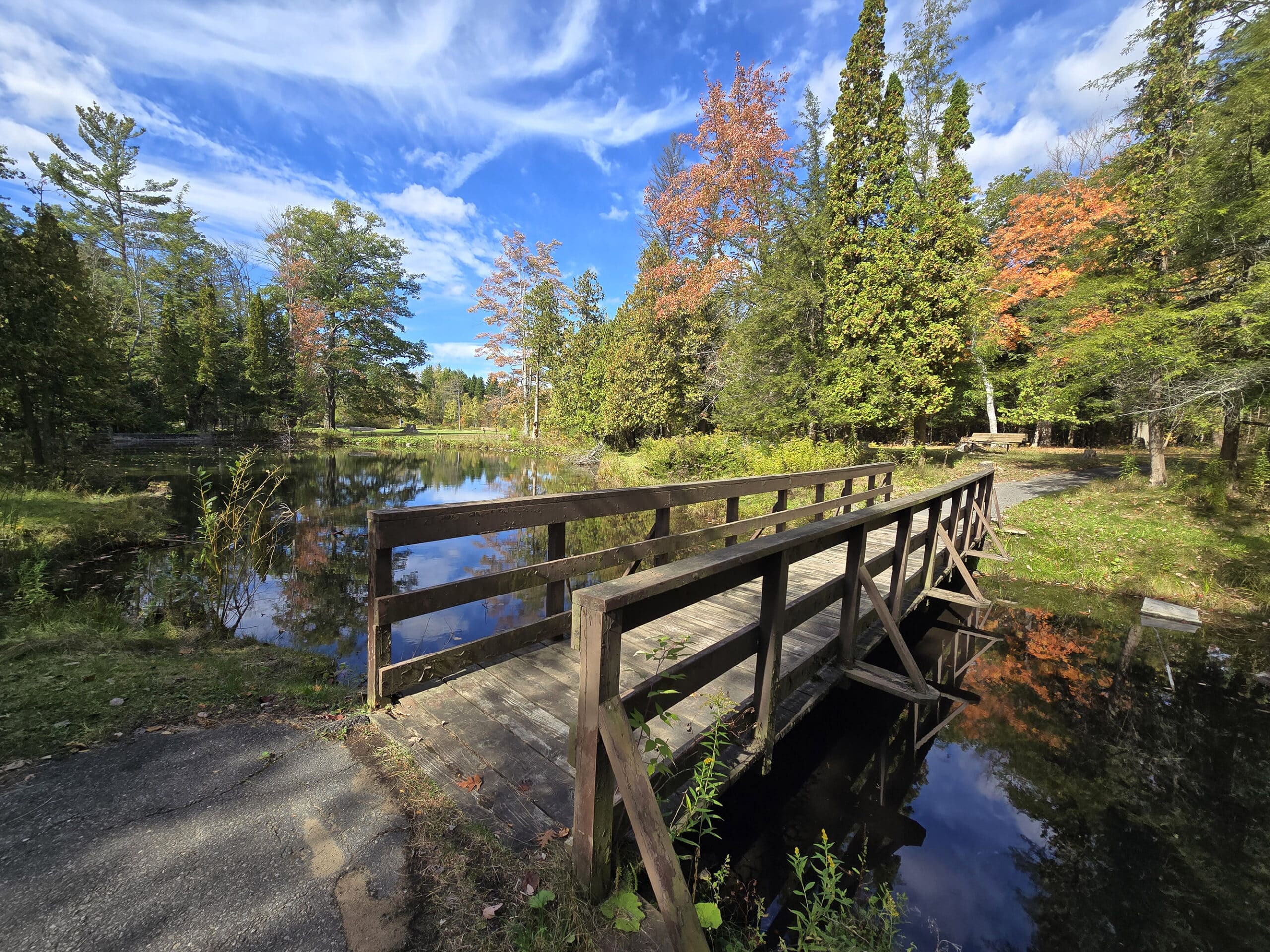 A footbridge over a pond at Springwater Provincial Park.