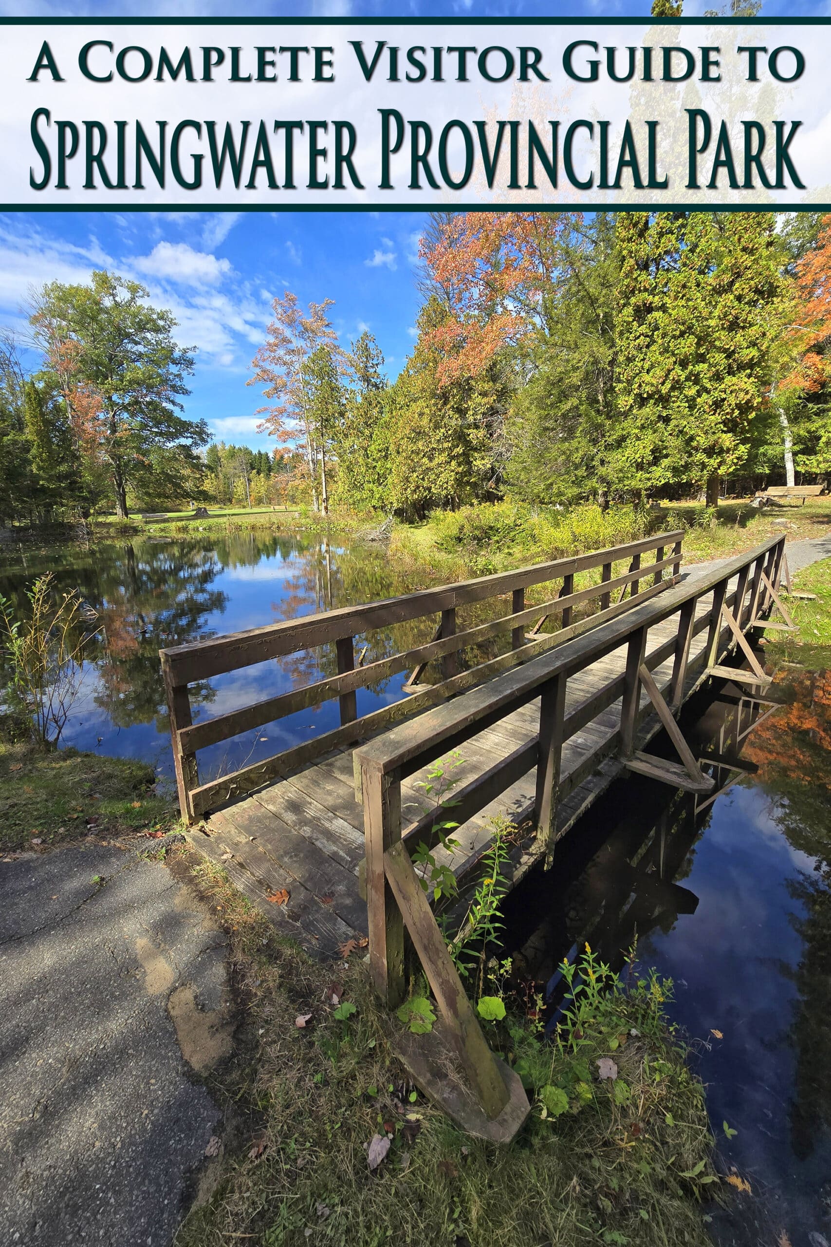 A footbridge over a pond at Springwater Provincial Park.