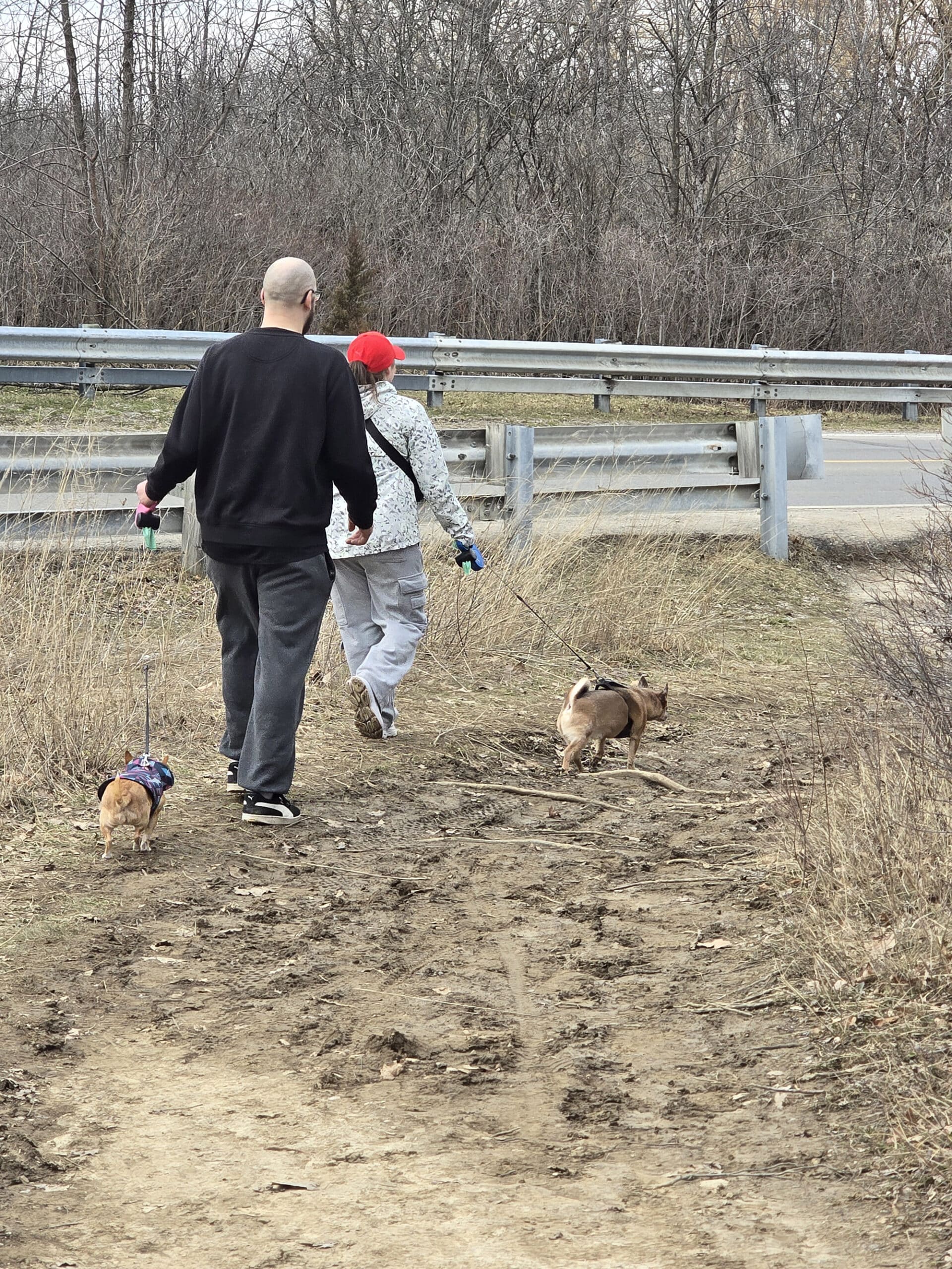 2 people walking dogs near Buttermilk Falls.