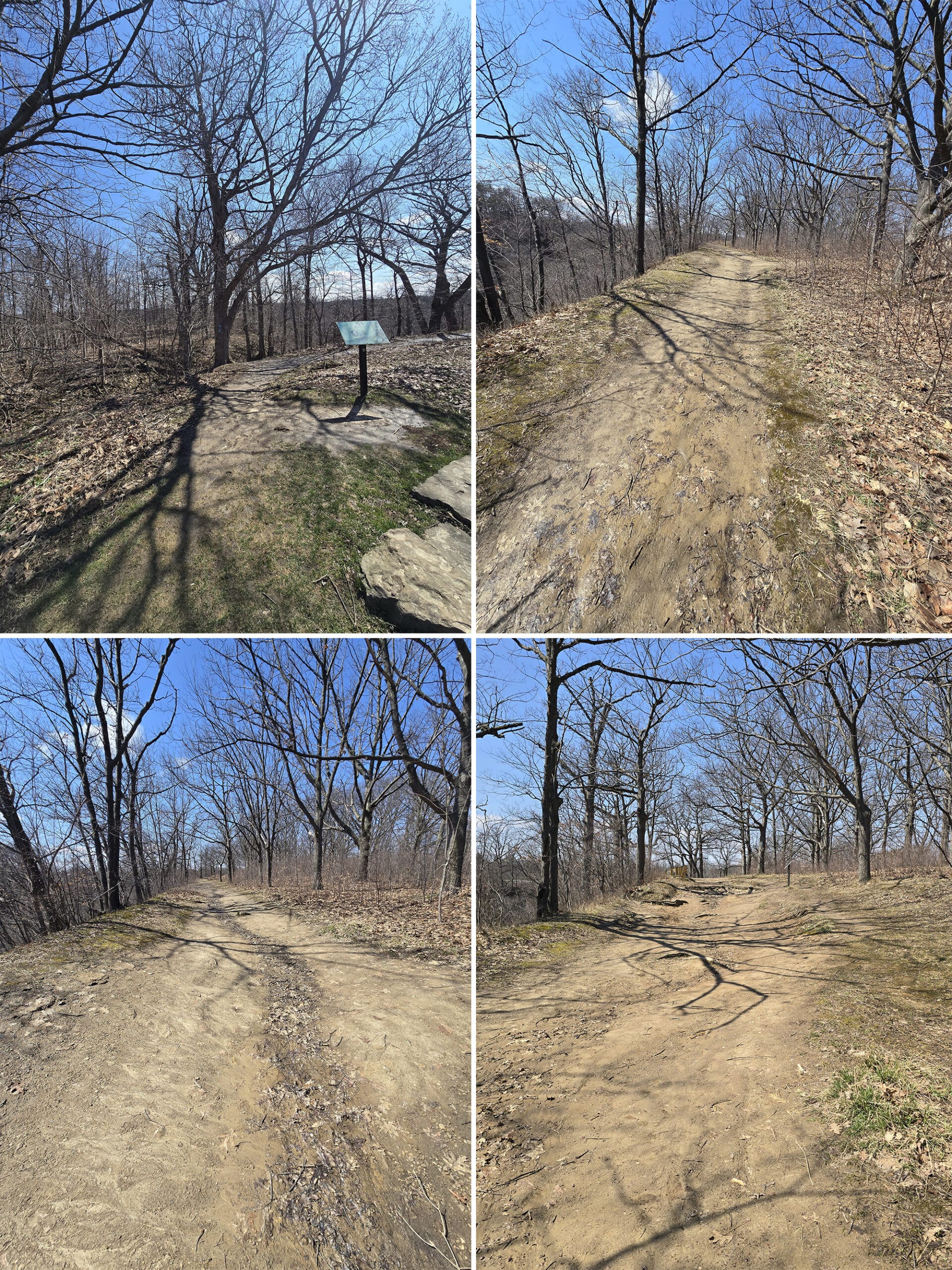 4 part image showing various views along the trail to Buttermilk Falls.