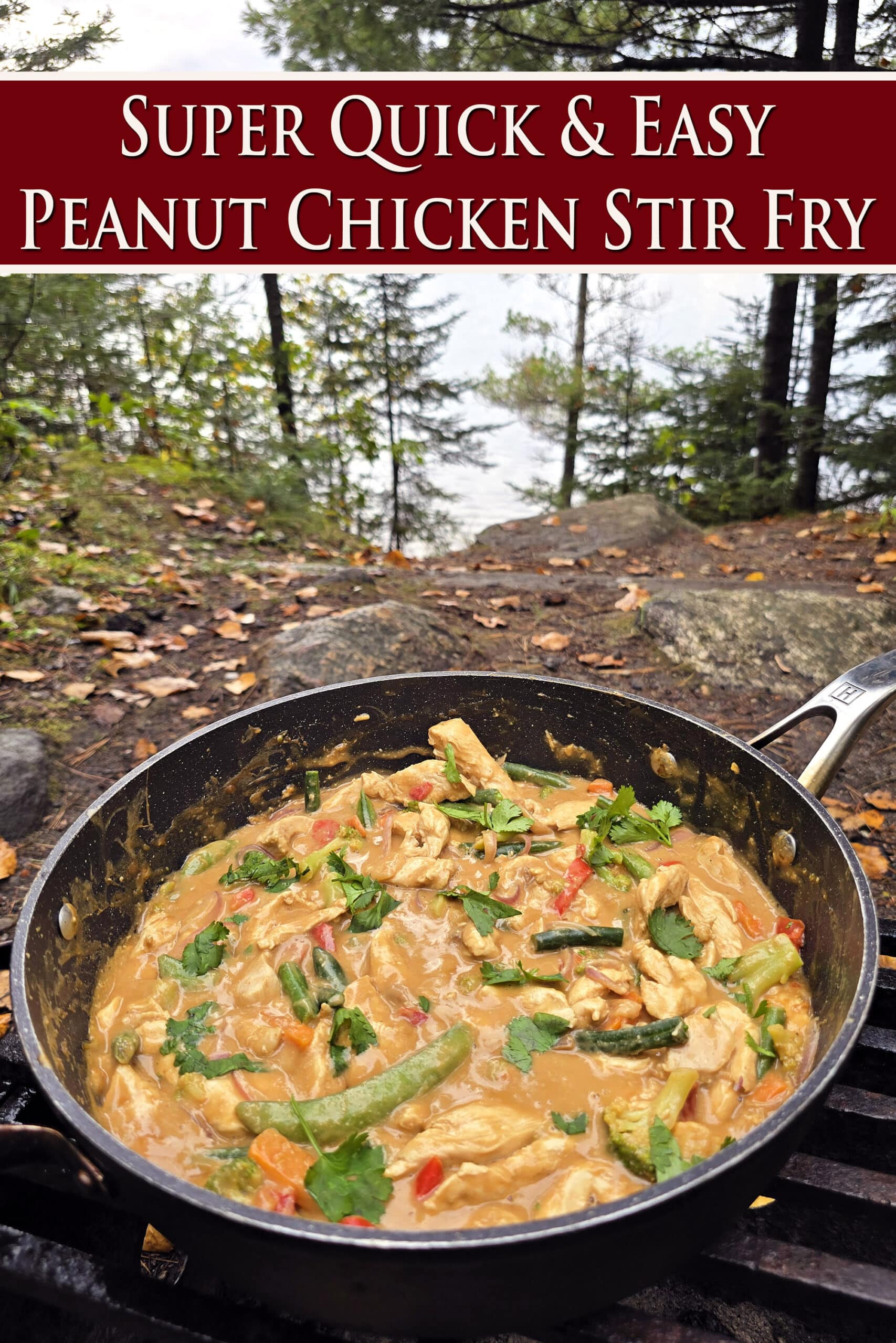 A pan of peanut butter chicken stir fry with a variety of colourful vegetables in it. Overlaid text says super quick and easy peanut chicken stir fry