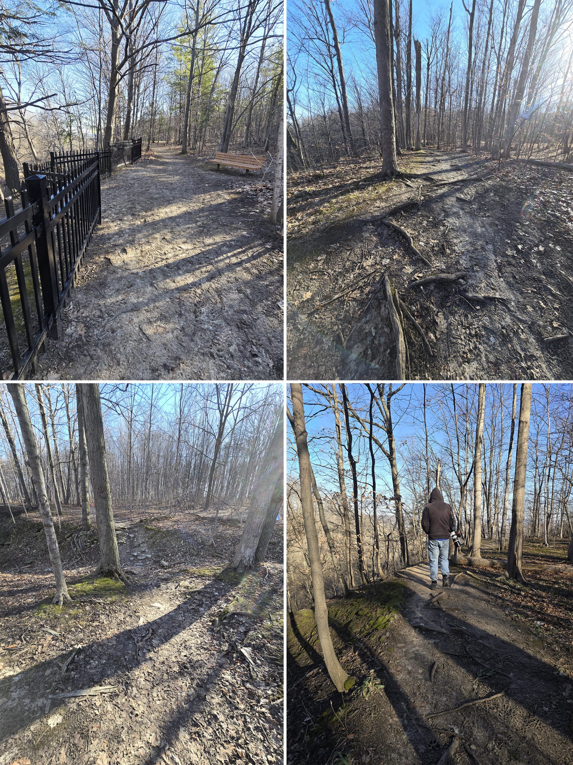 4 part image showing various views along the Bruce Trail at Felker’s Falls Conservation Area.