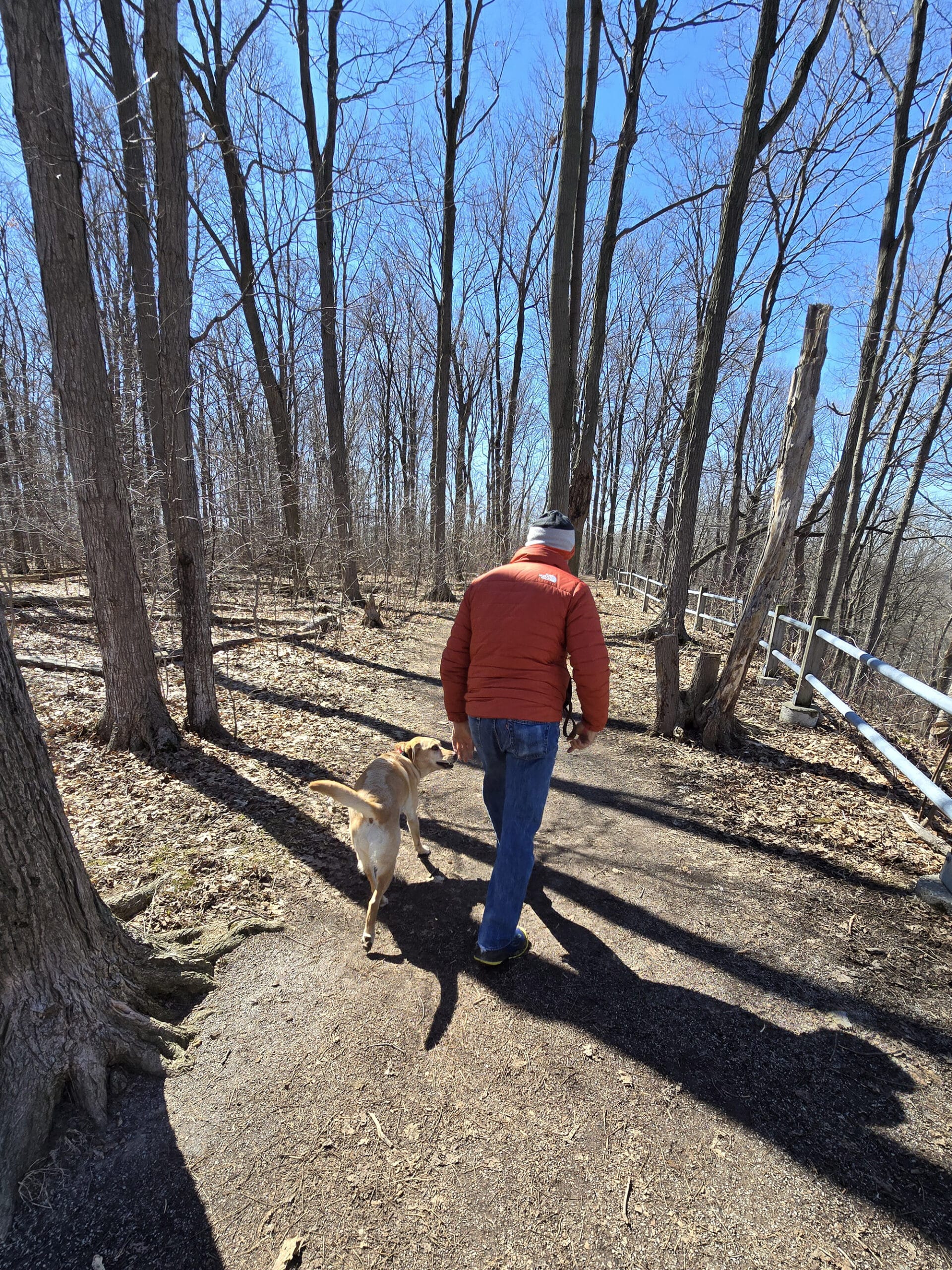 A man walking a dog on a trail at Felker’s Falls Conservation Area.