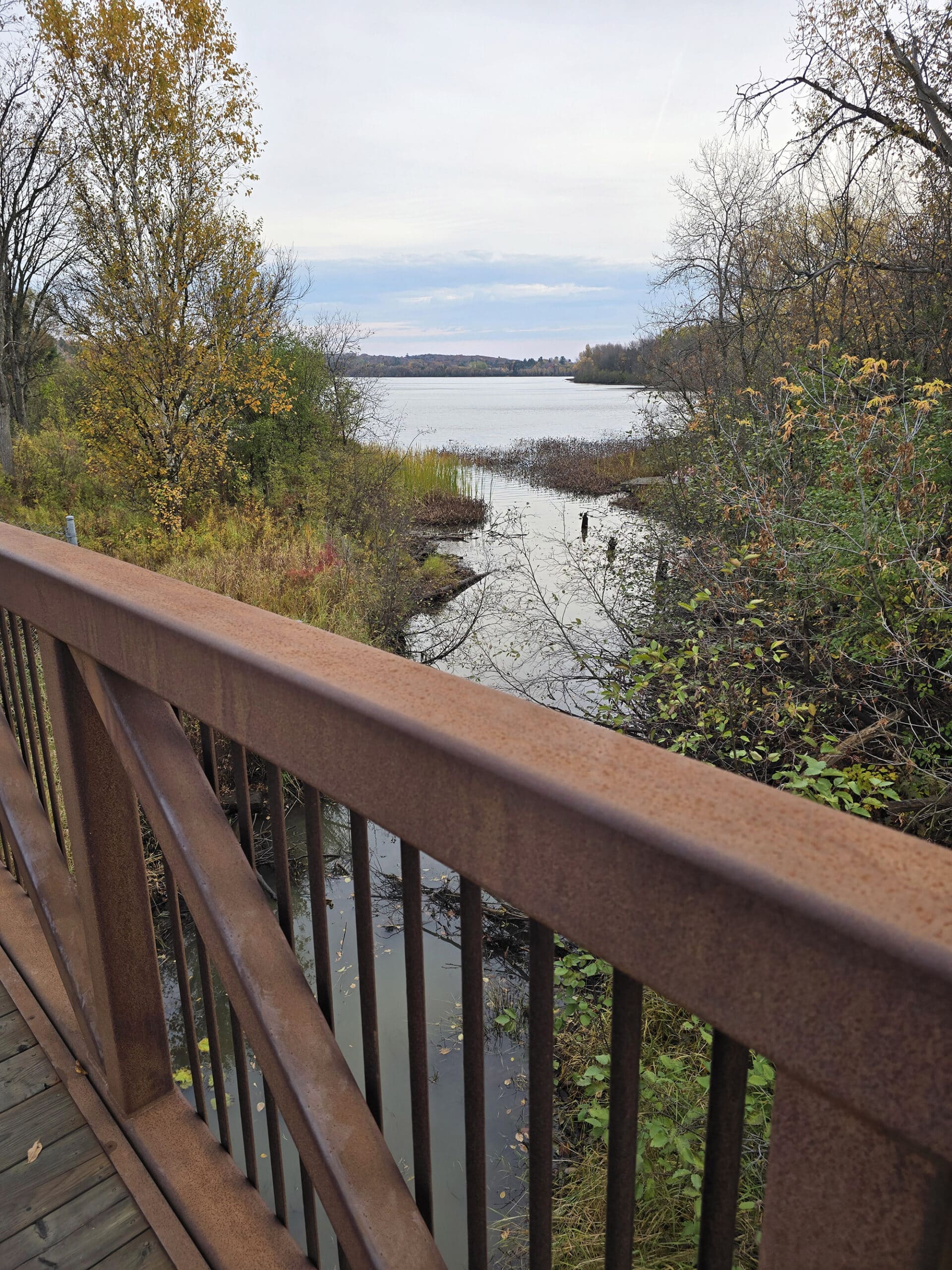A view of Hunter’s Bay from a trail bridge.