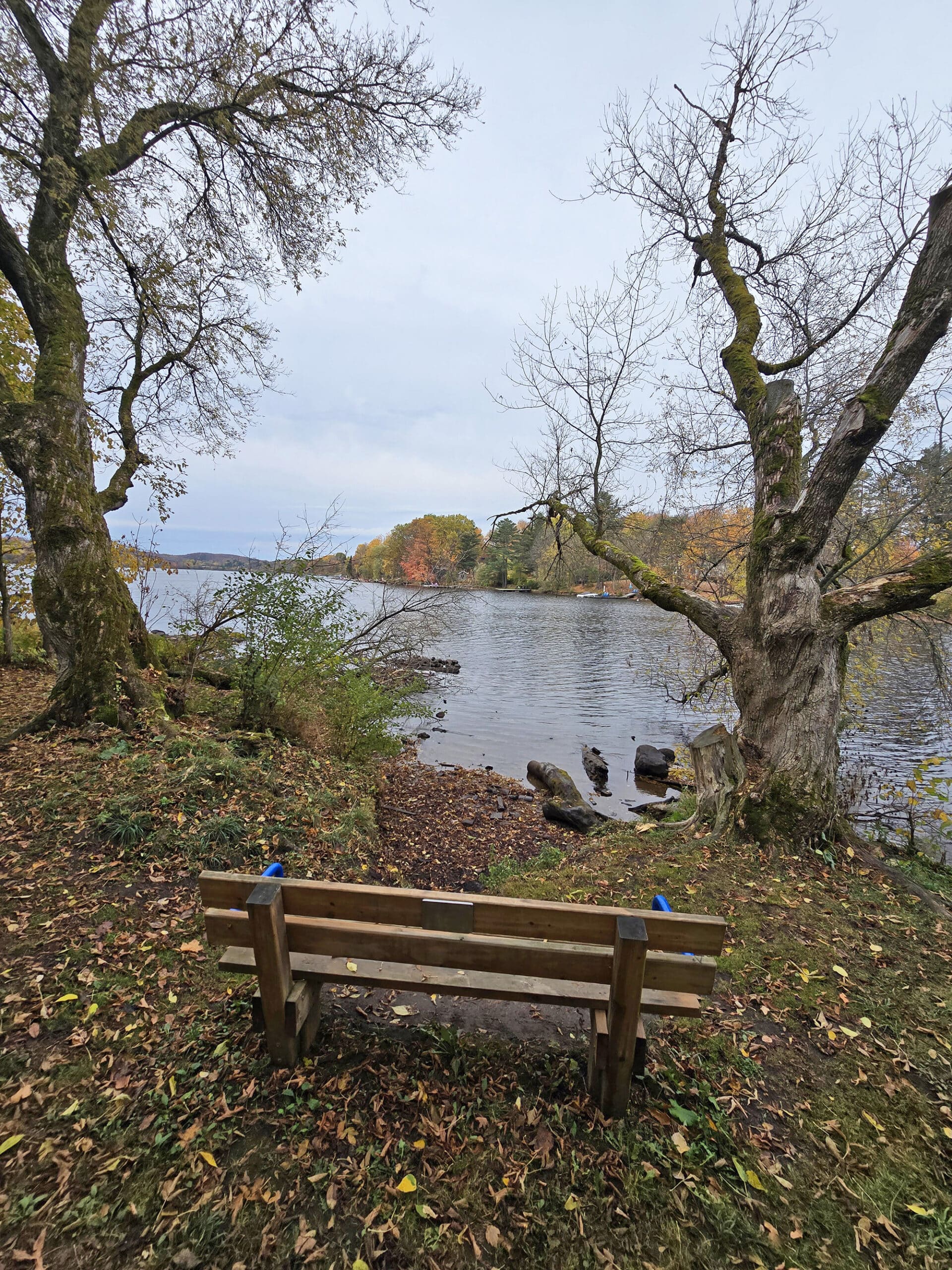 A park bench overlooking Hunter’s Bay.
