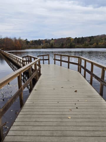 A floating section of boardwalk trail along the hunter's bay hiking trail.