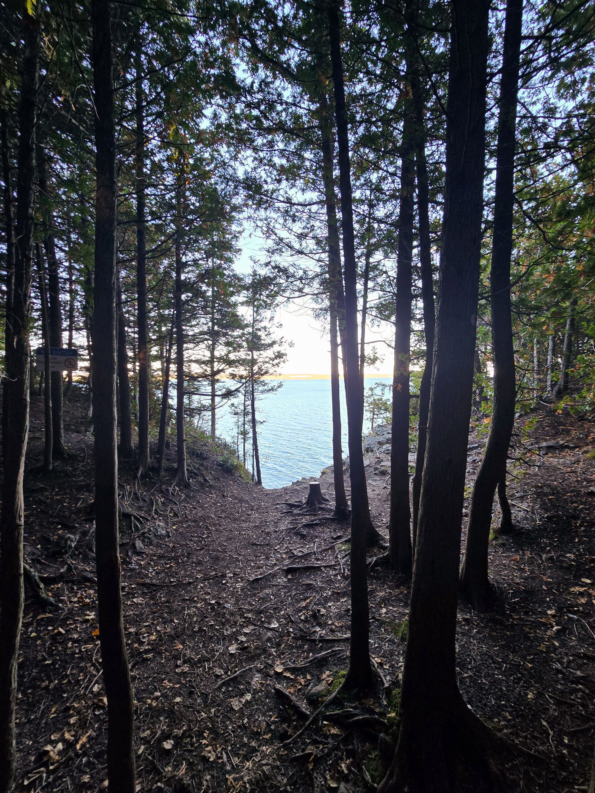 A trail leading through trees to a cliff, with a lake in the background.