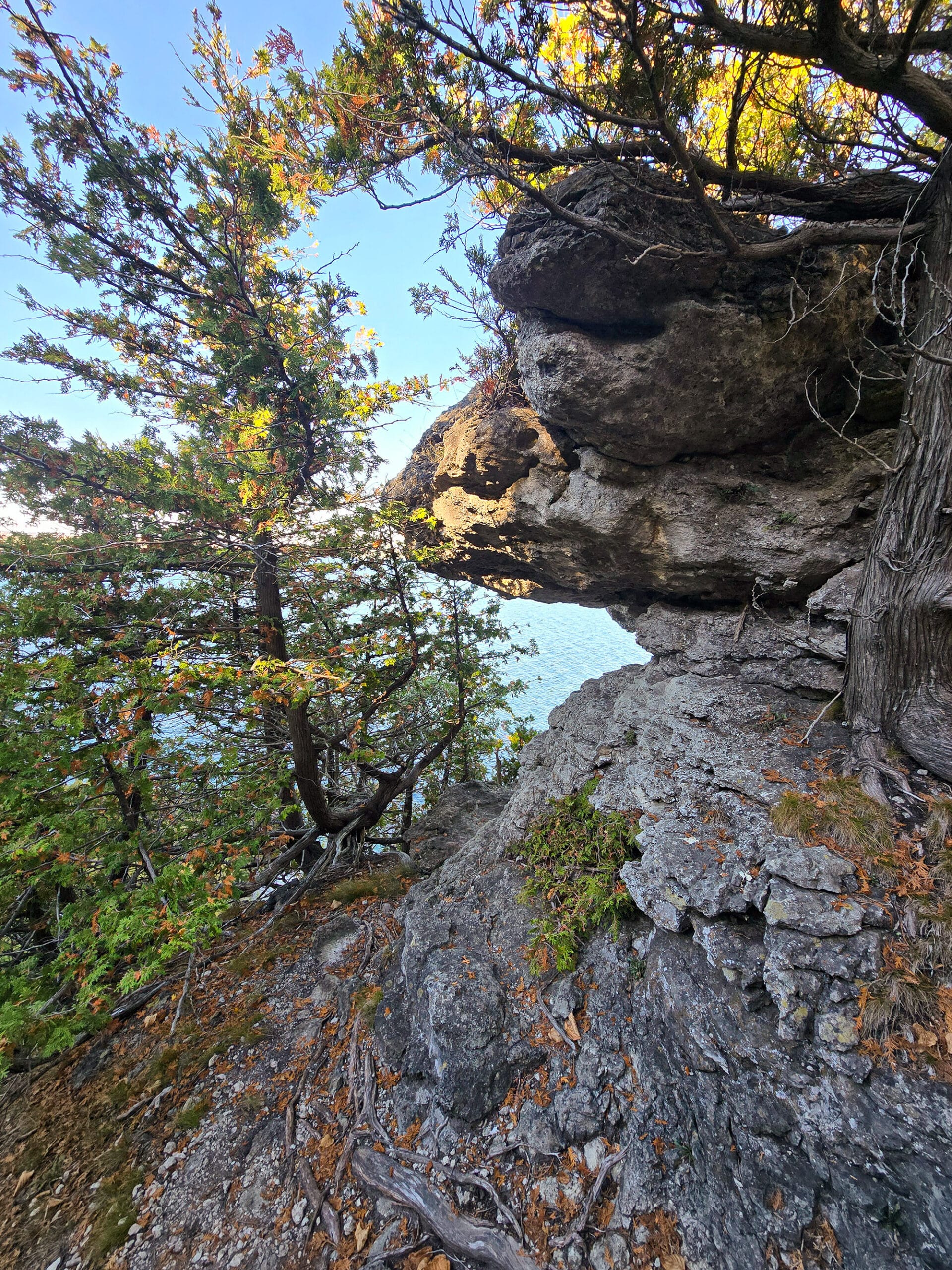 A funky rock formation in a forest.