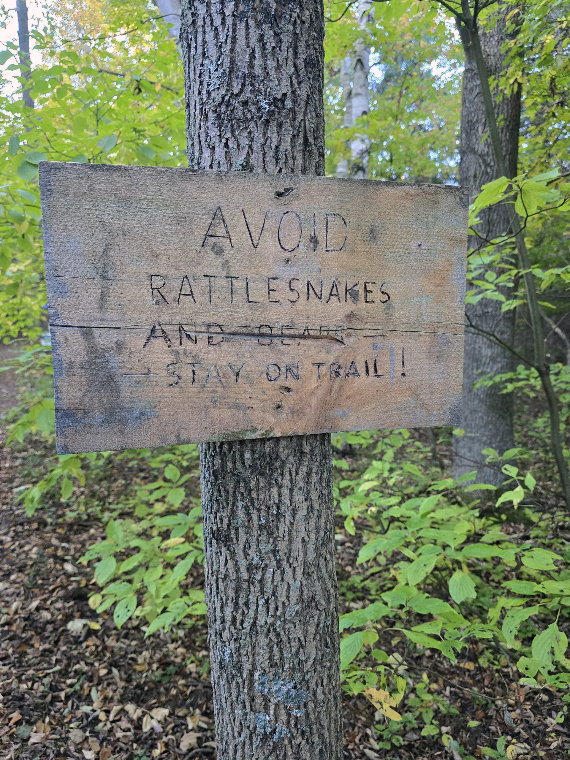 A rustic sign in the woods telling visitors to avoid rattlesnakes and stay on the trail.