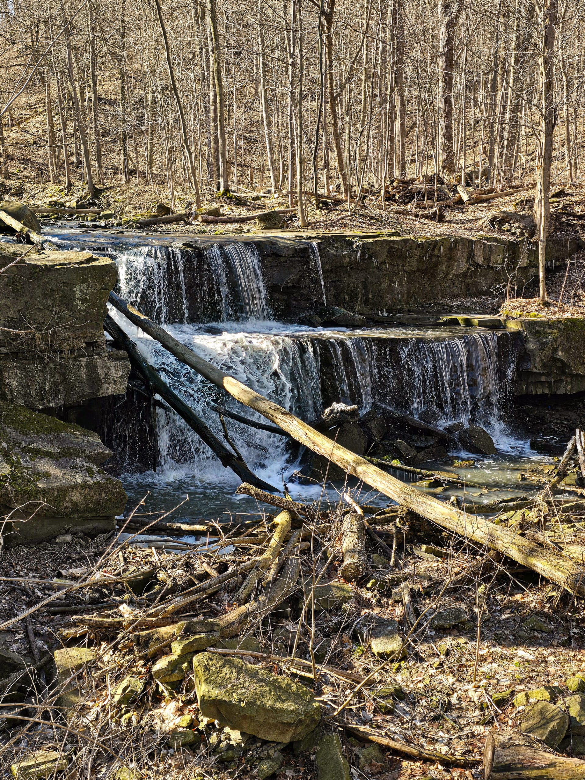 Little Davis Falls Waterfall viewed from the side.