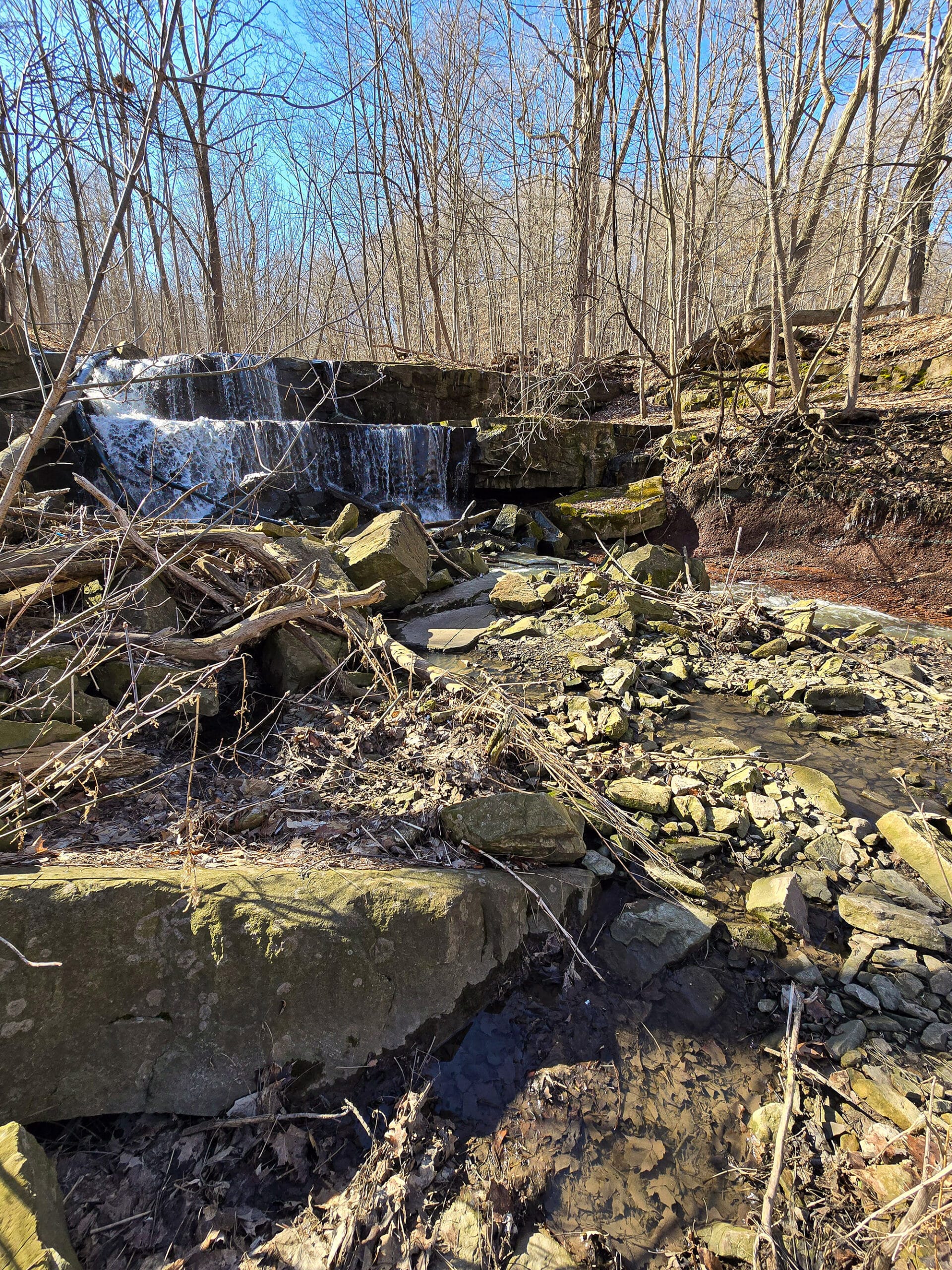 Little Davis Falls Waterfall viewed from downstream.