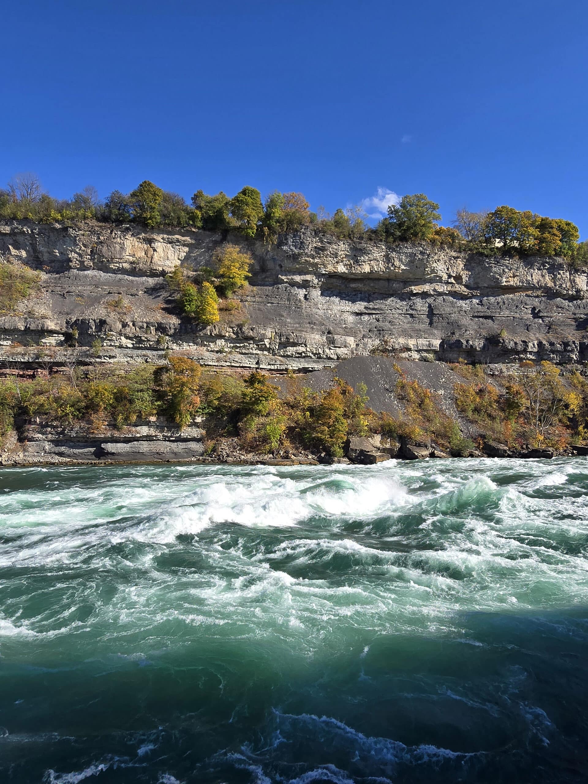 Looking out over white water rapids from the boardwalk at white water walk.