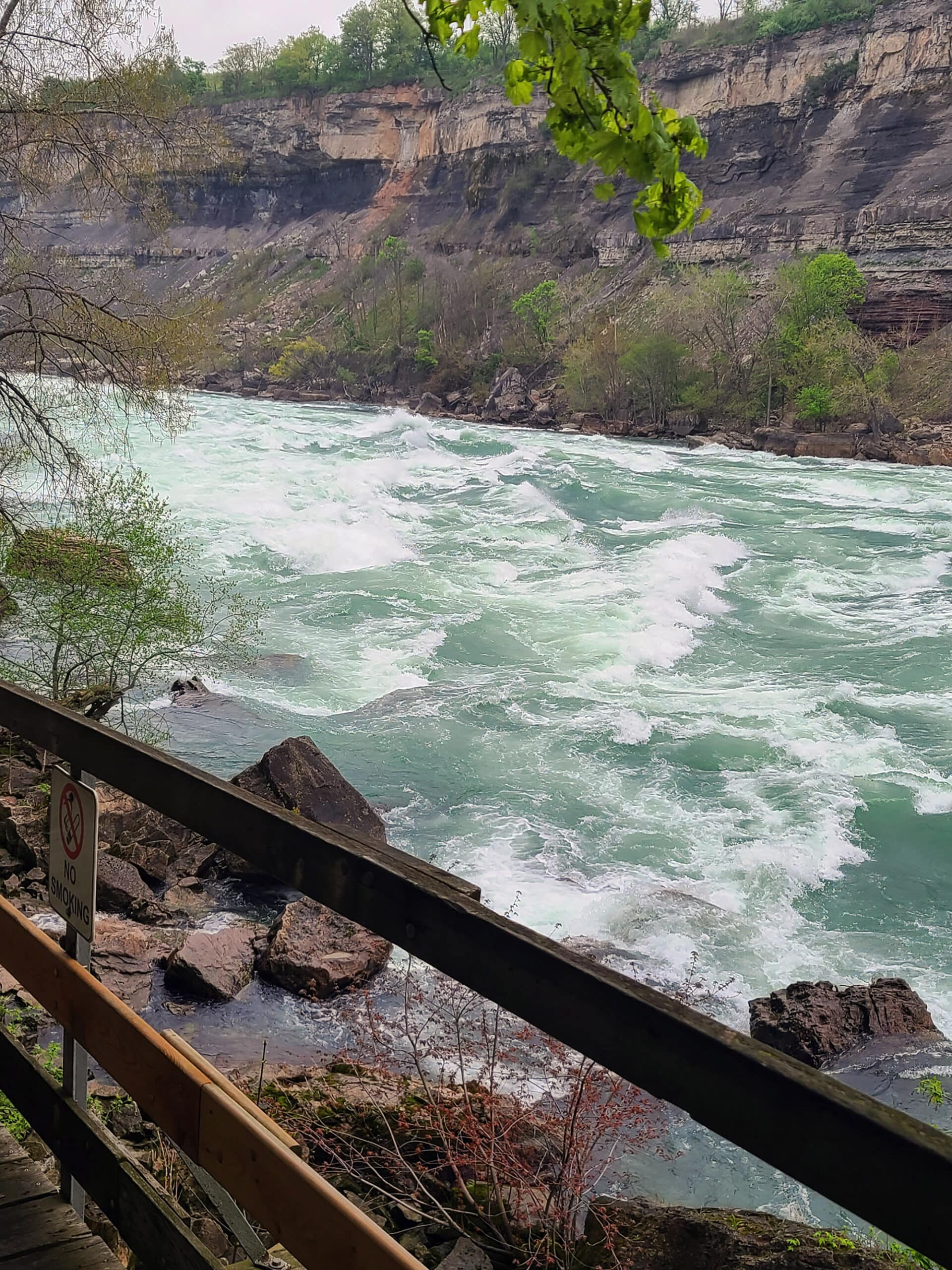 Looking out over white water rapids from the boardwalk at white water walk.