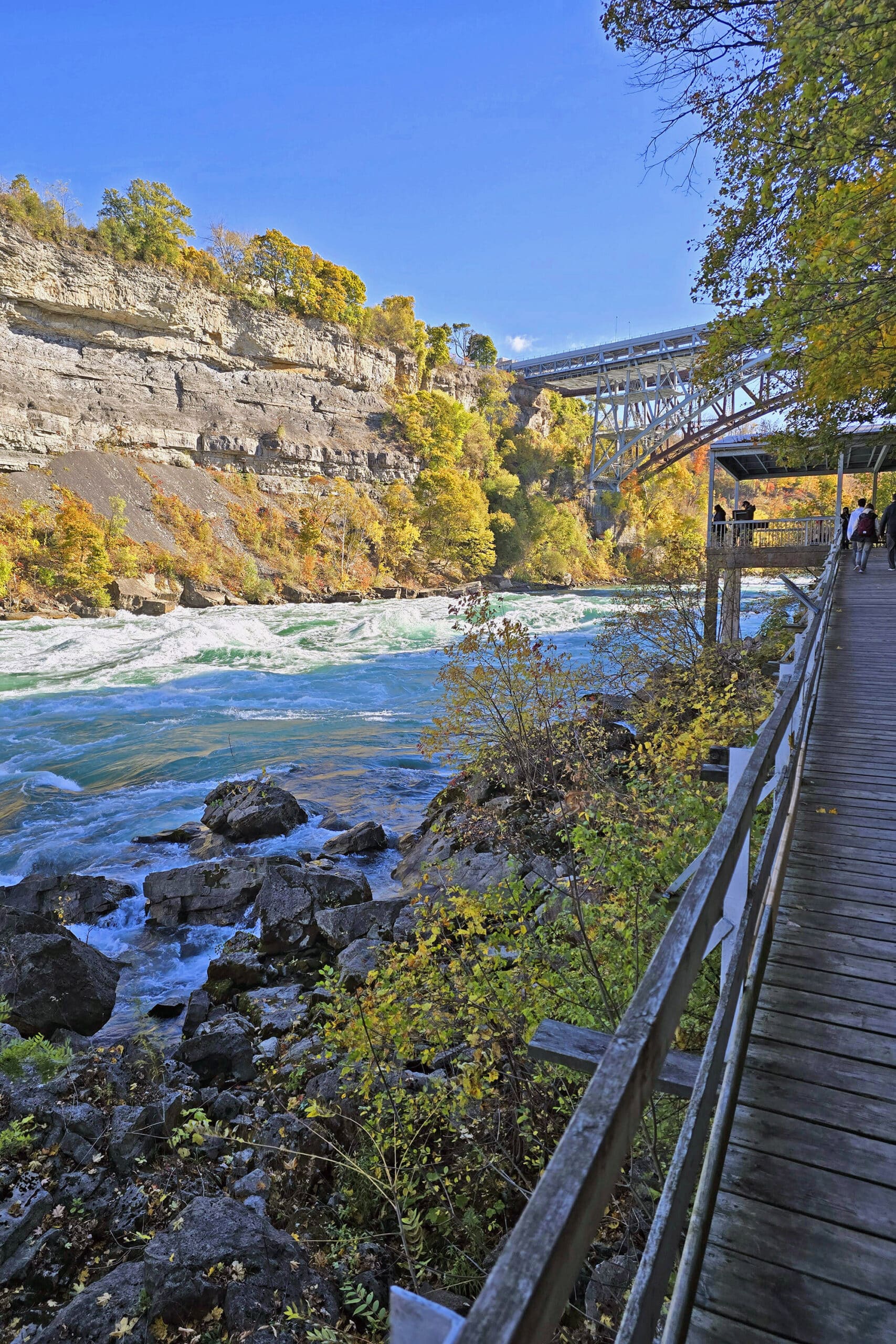 Looking out over white water rapids from the boardwalk at white water walk, a bridge in the background.