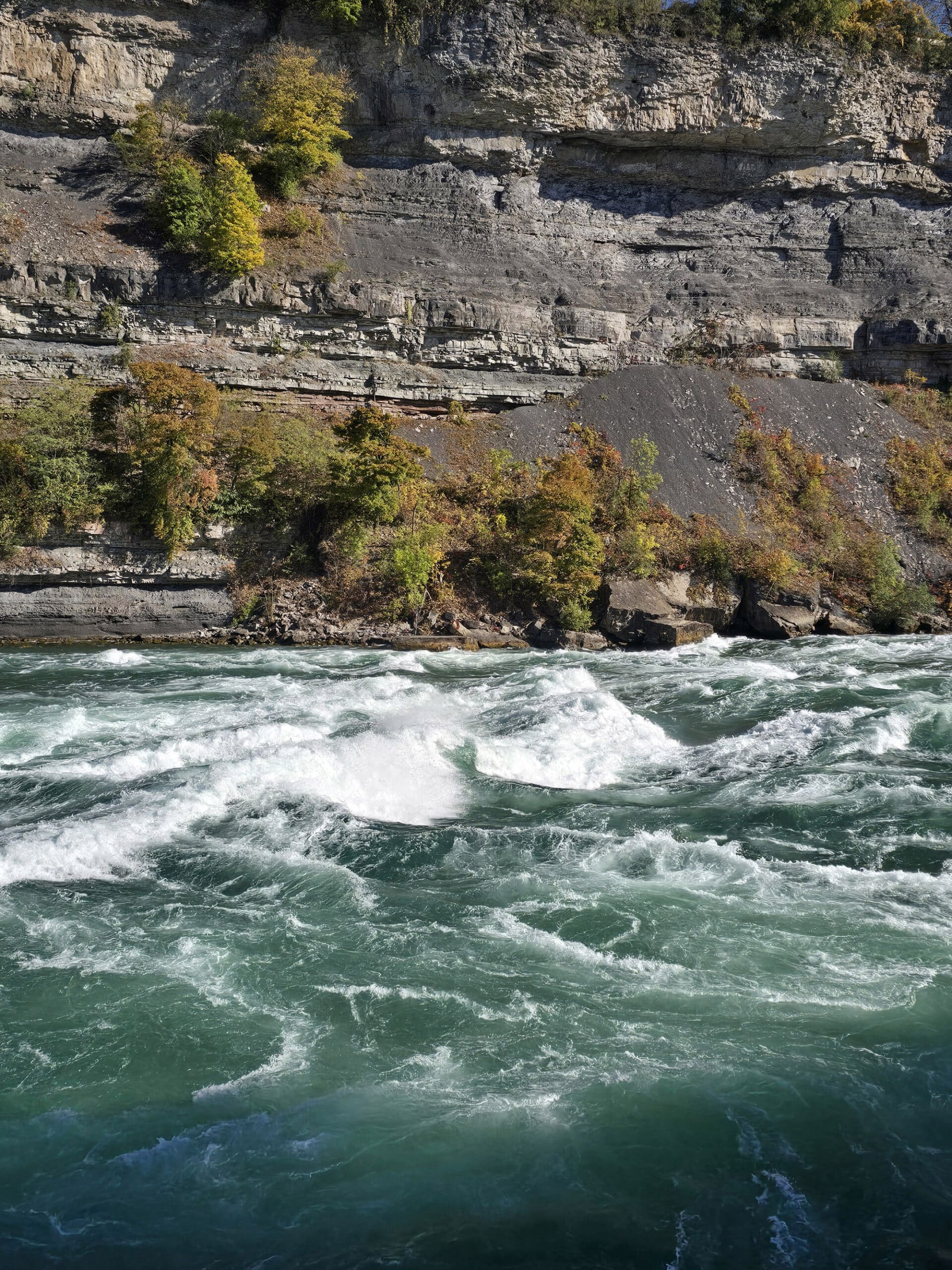 Looking out over white water rapids from the boardwalk at white water walk.