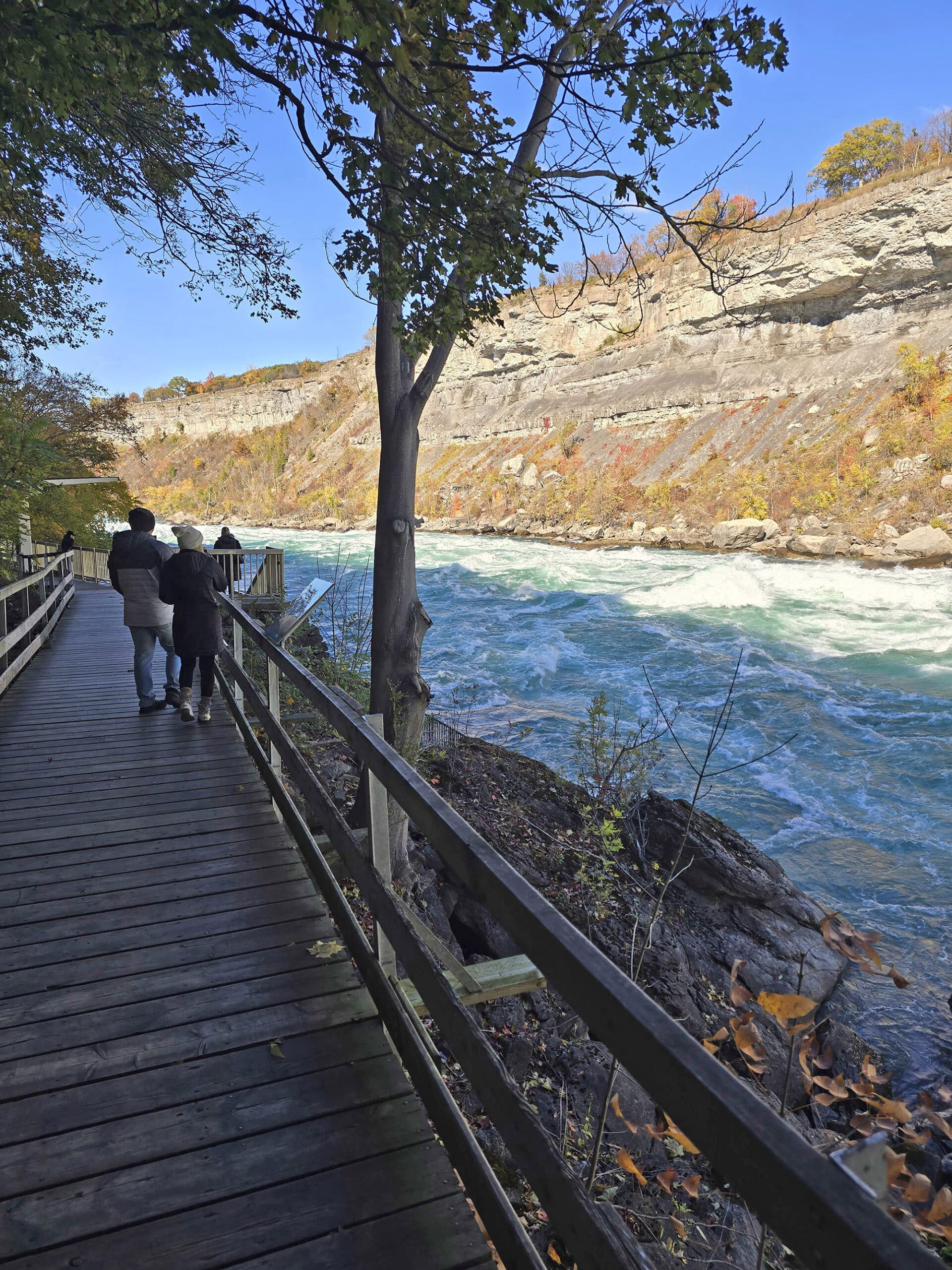 Looking out over white water rapids from the boardwalk at white water walk.