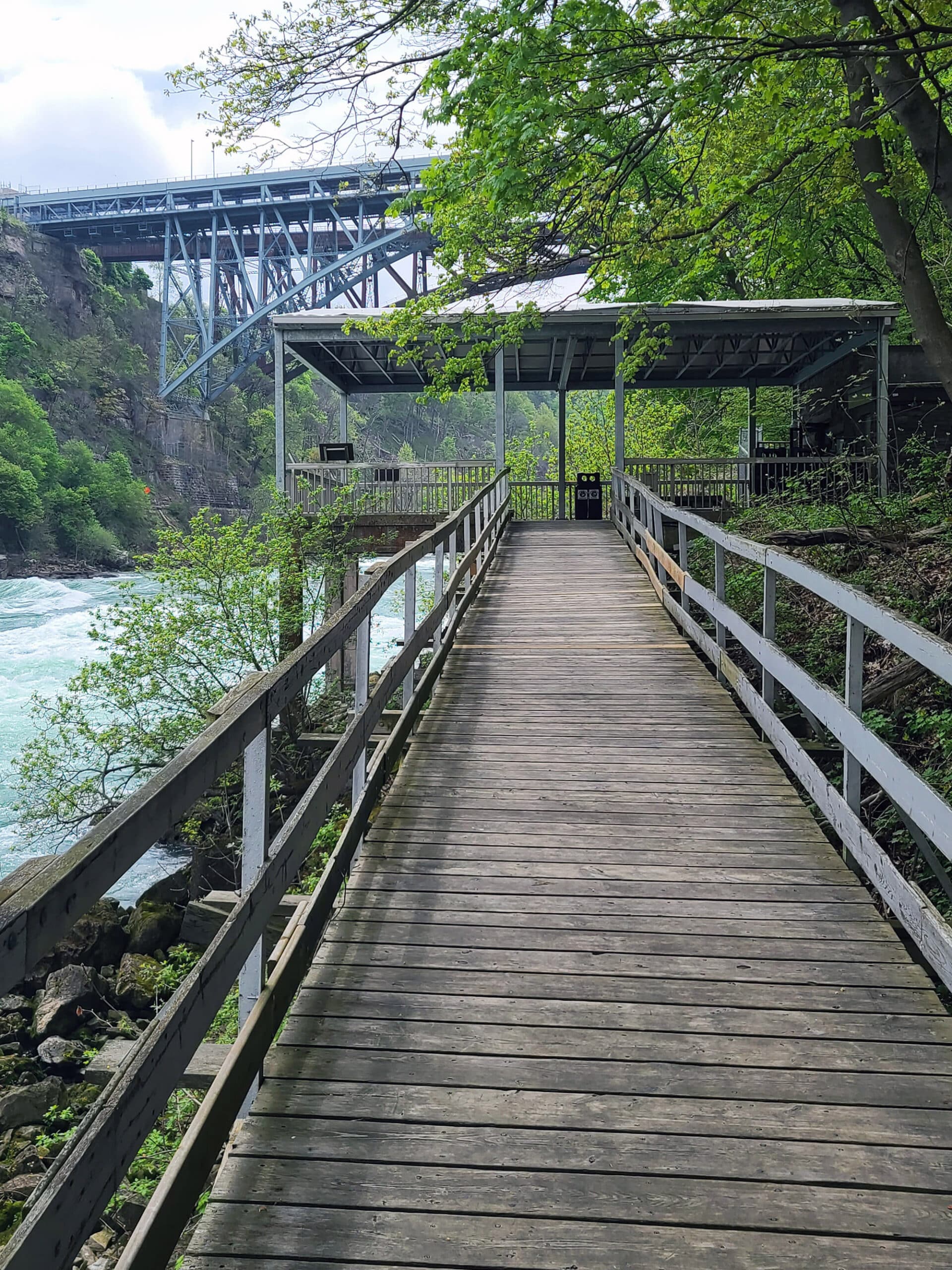 Looking out over white water rapids from the boardwalk at white water walk.