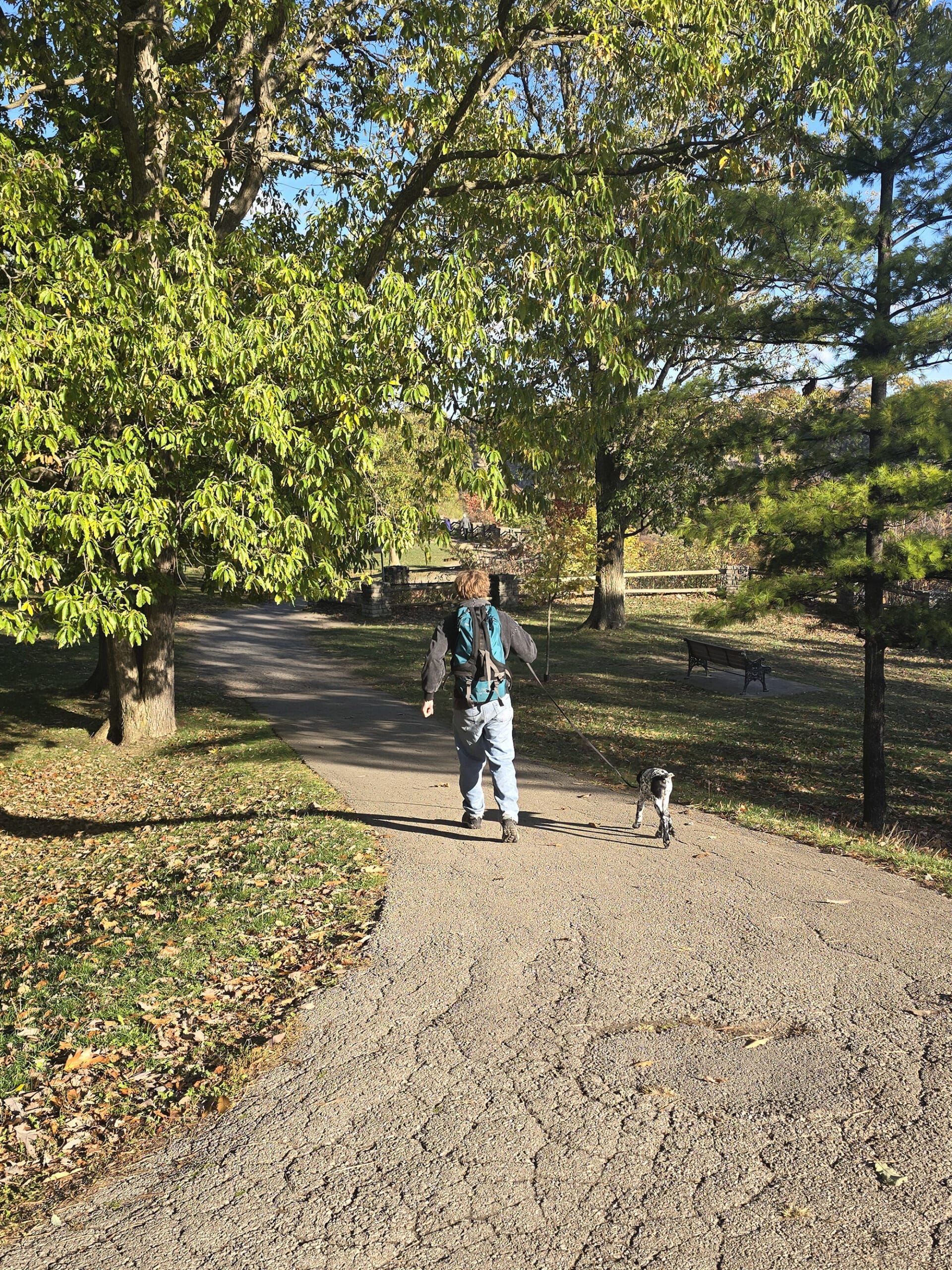 A person walking a dog on a trail through the picnic area at niagara glen.
